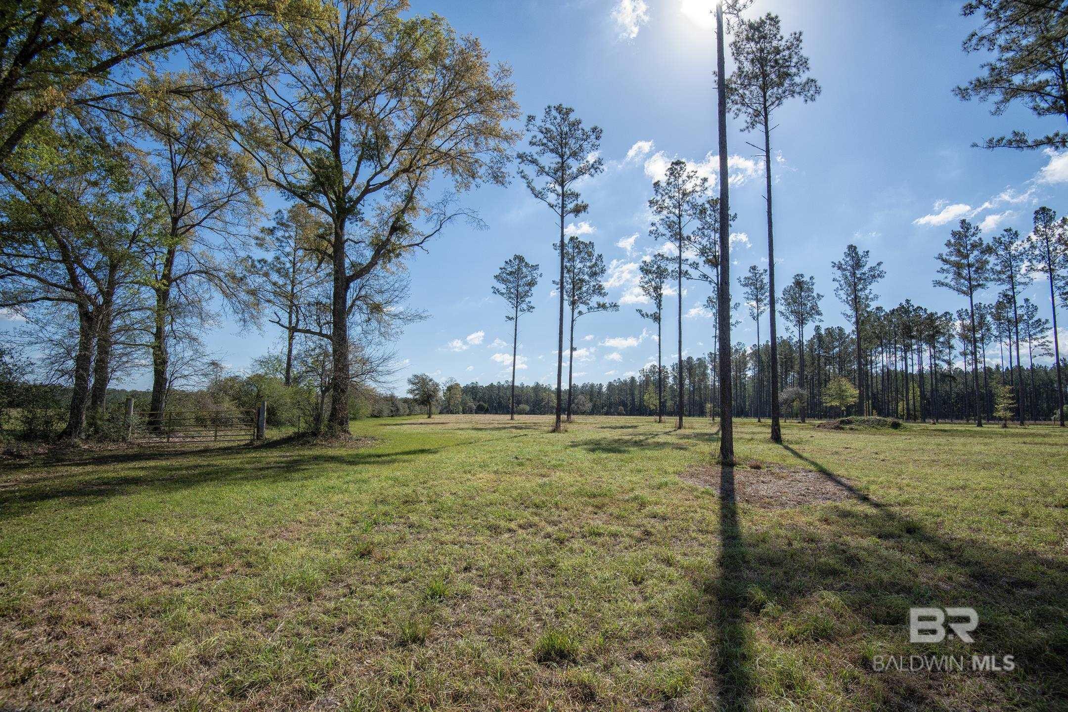 31952 County Road 64 Extension, Robertsdale, AL, 36567