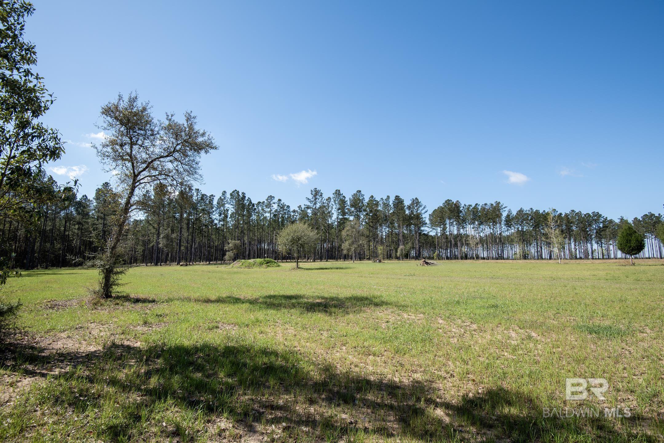 31952 County Road 64 Extension, Robertsdale, AL, 36567