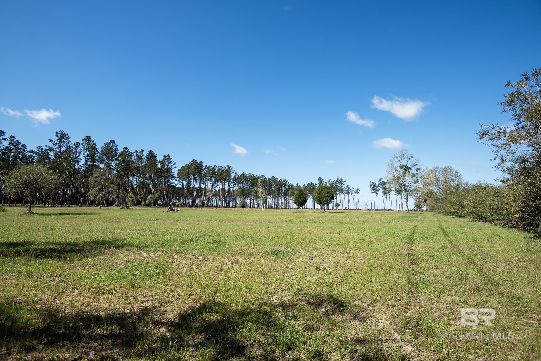 31952 County Road 64 Extension, Robertsdale, AL, 36567