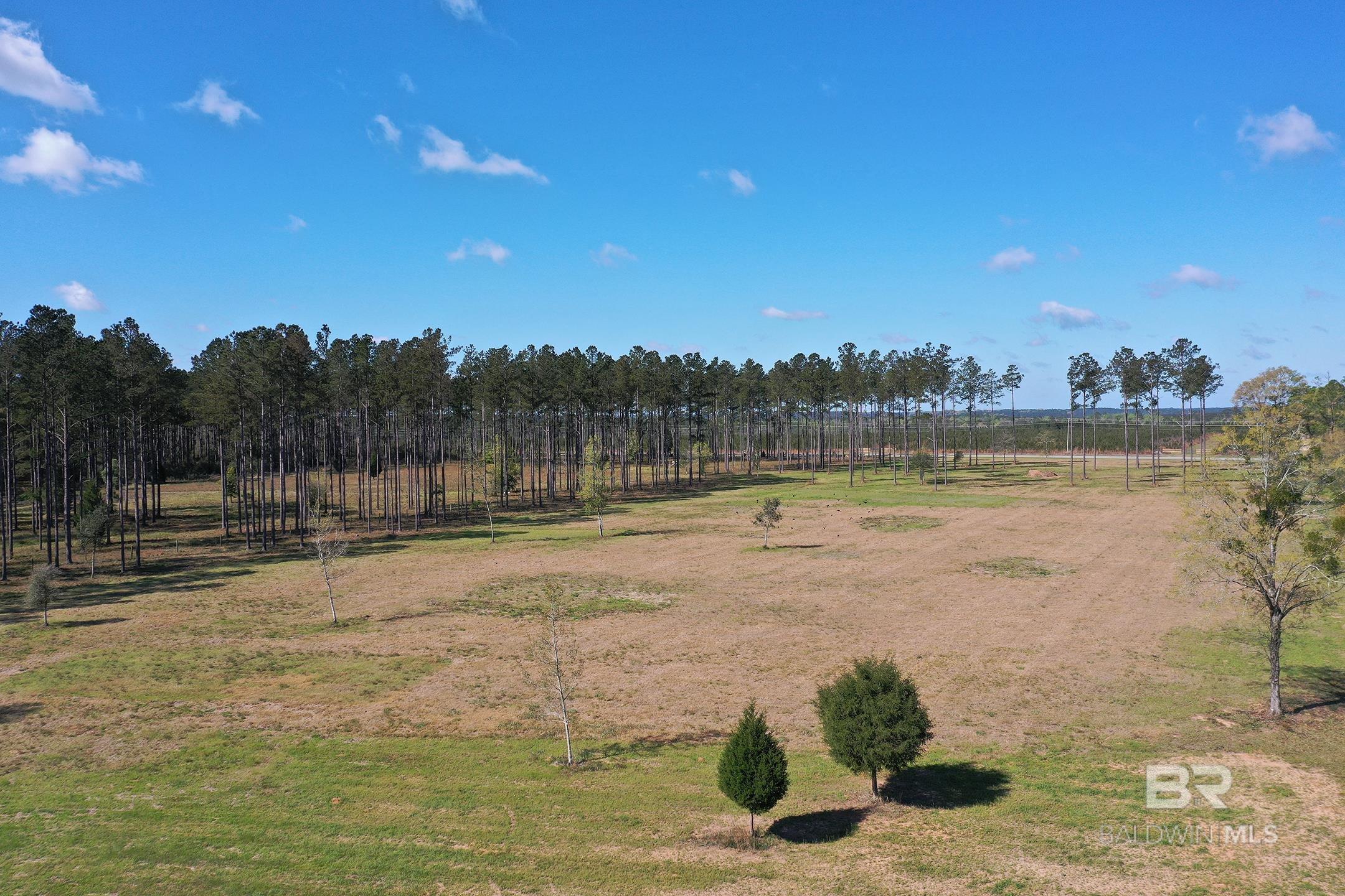 31952 County Road 64 Extension, Robertsdale, AL, 36567