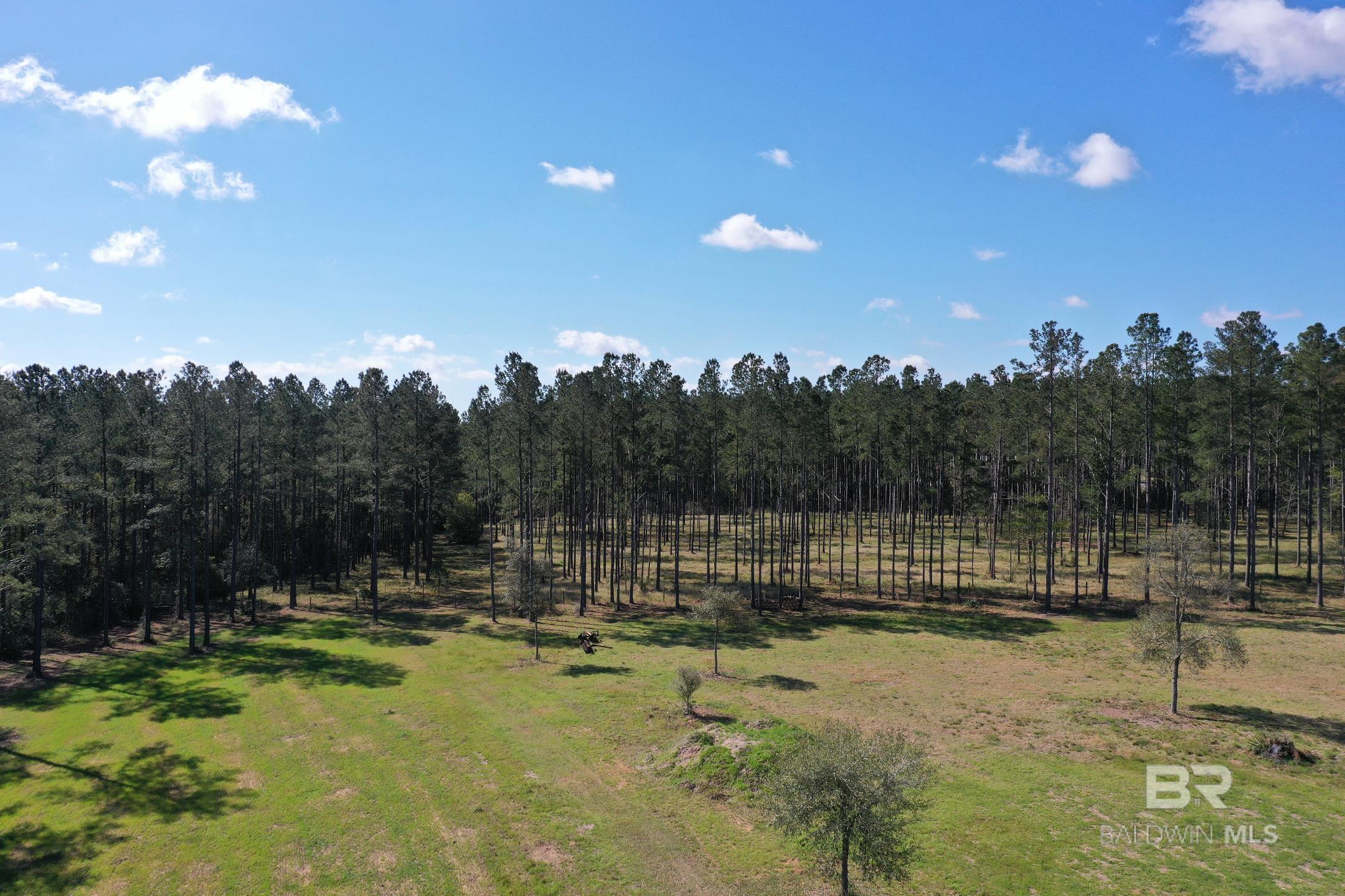 31952 County Road 64 Extension, Robertsdale, AL, 36567