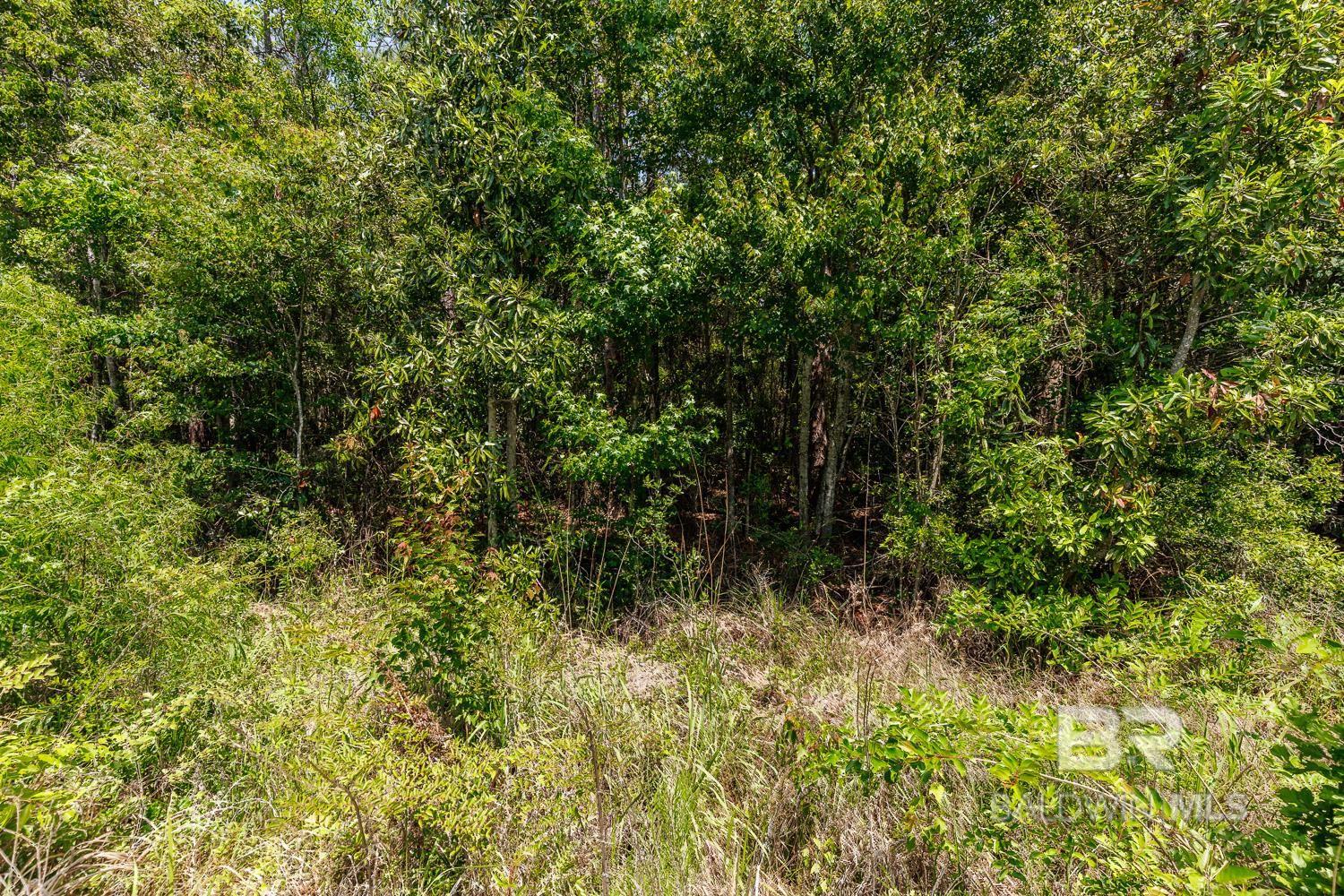 0 Scenic Highway 98, Fairhope, AL, 36532