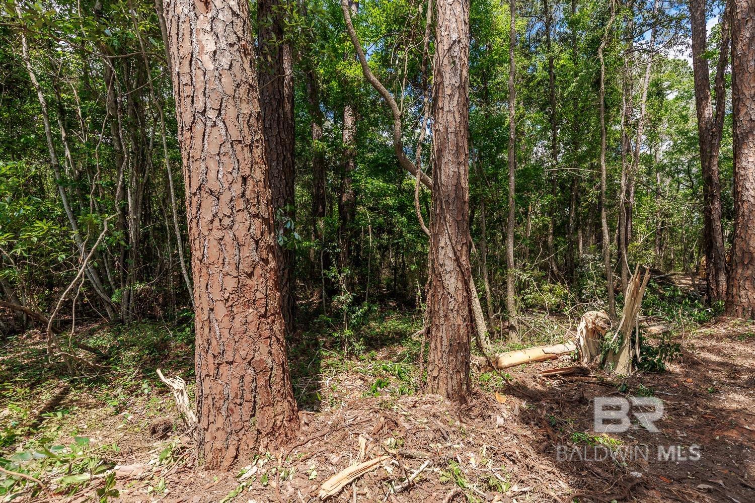 0 Scenic Highway 98, Fairhope, AL, 36532