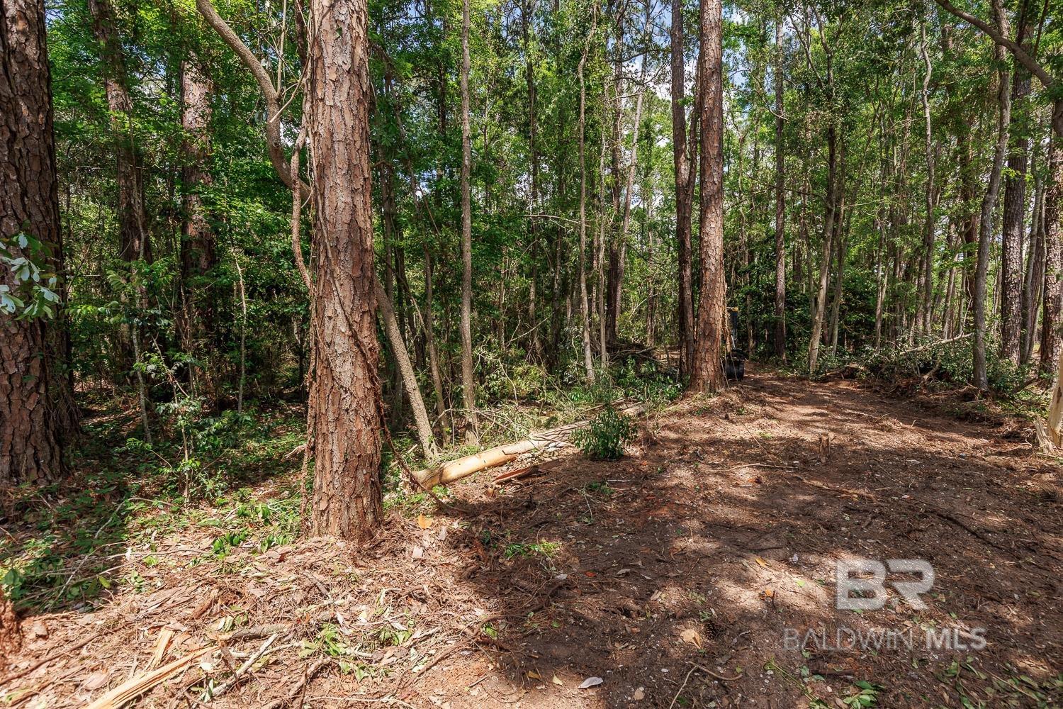 0 Scenic Highway 98, Fairhope, AL, 36532