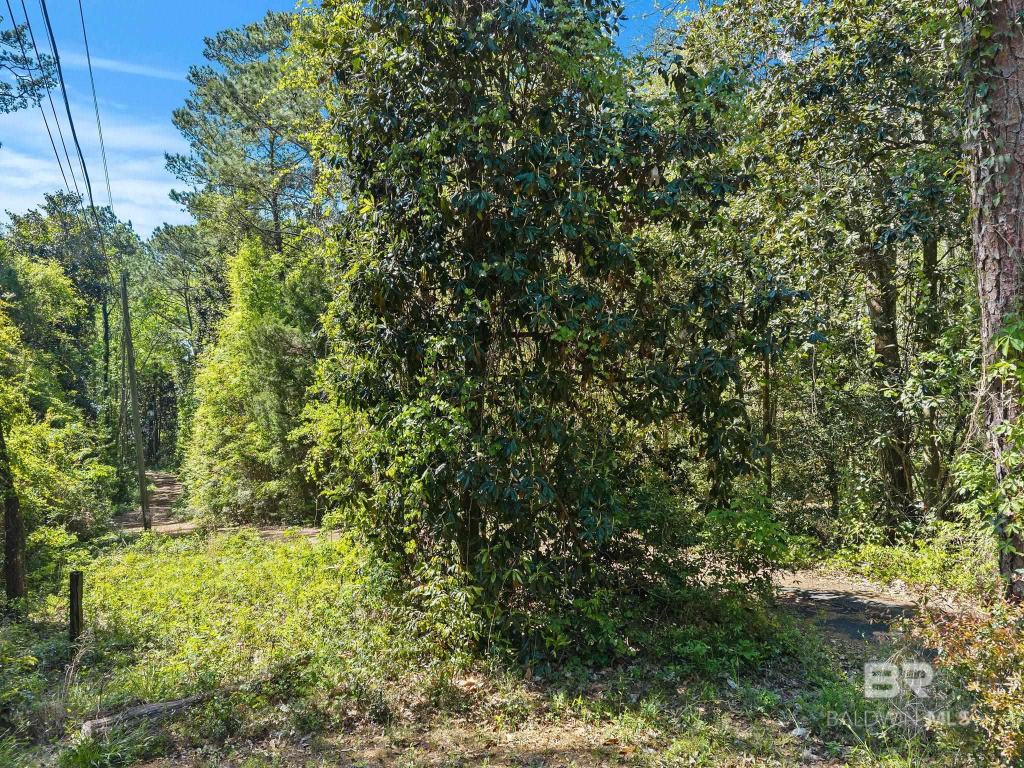 337 Grays Lane, Daphne, AL, 36526