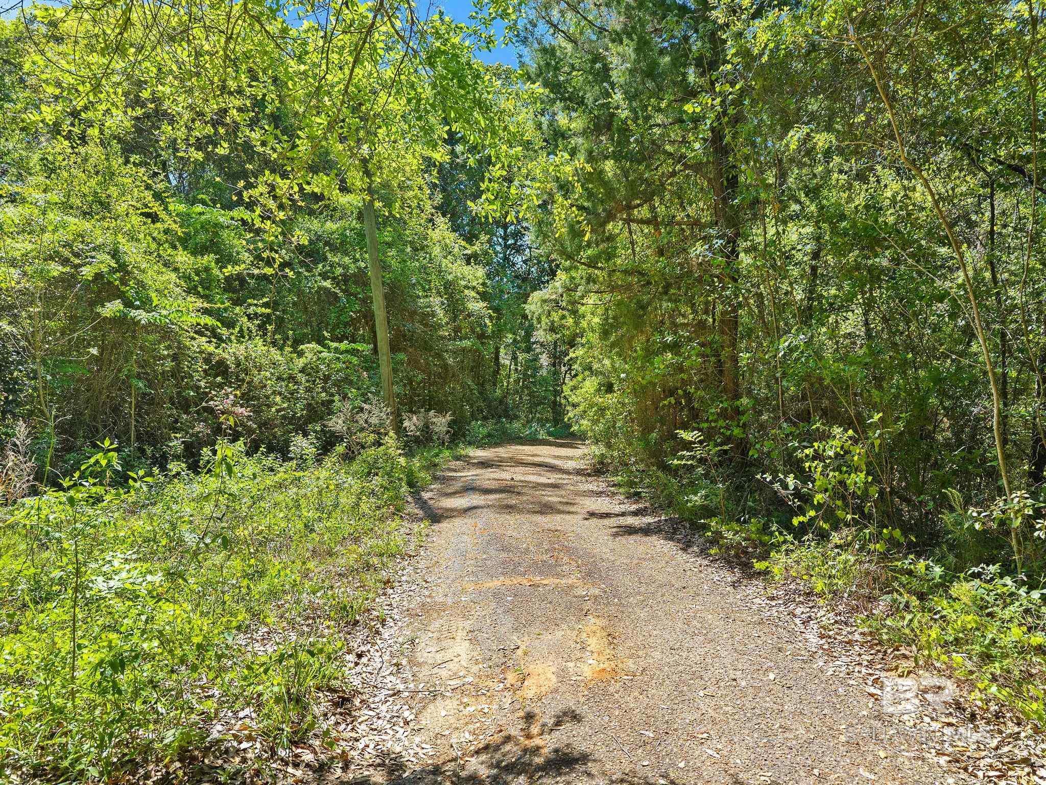 337 Grays Lane, Daphne, AL, 36526