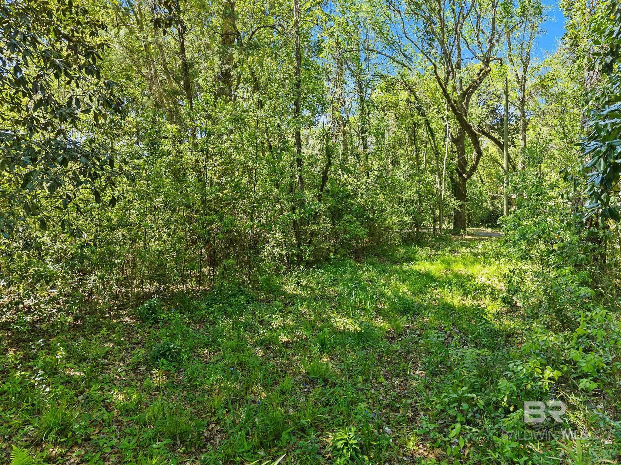 337 Grays Lane, Daphne, AL, 36526