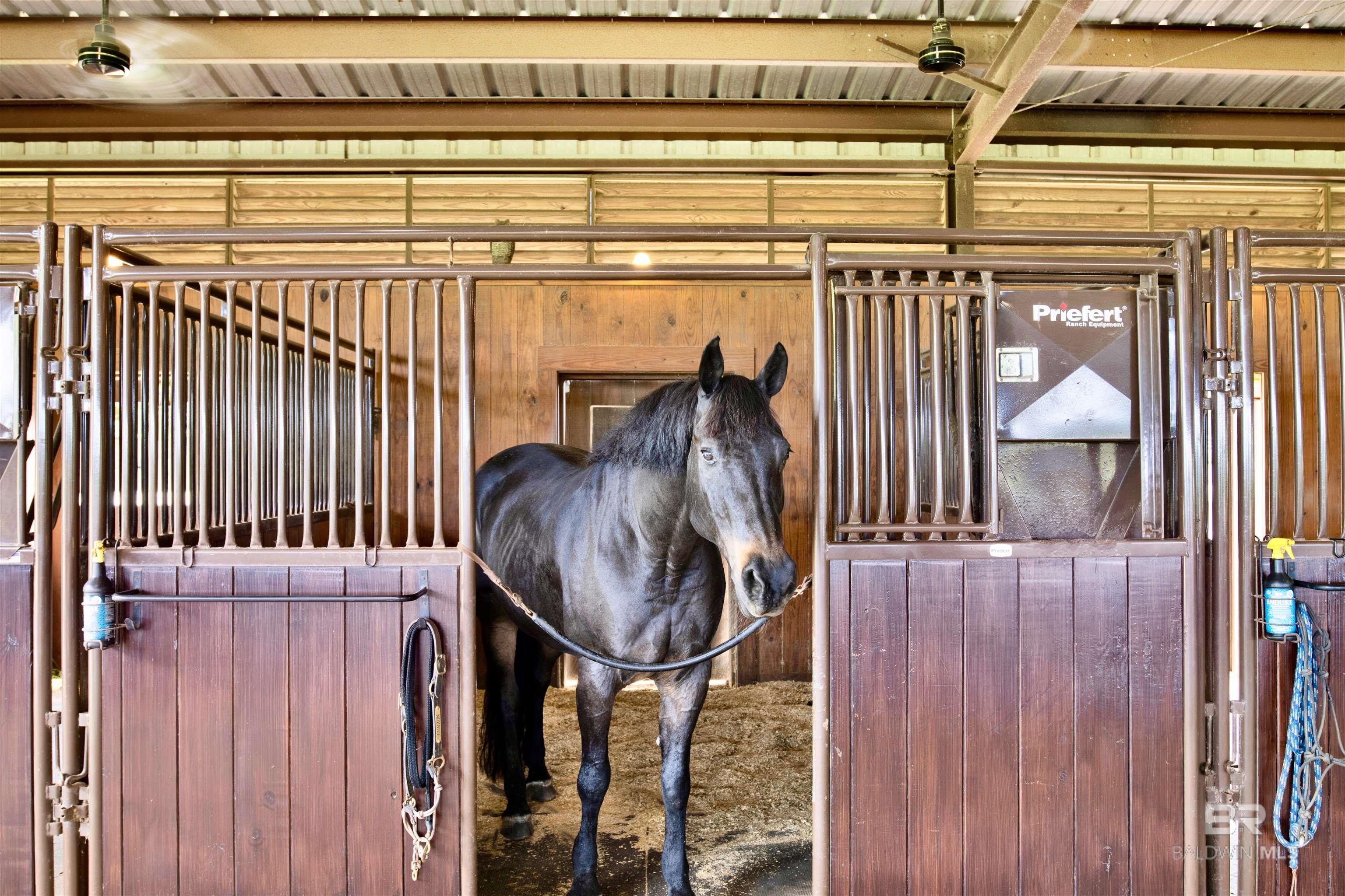 0 County Road 13, Fairhope, AL, 36532