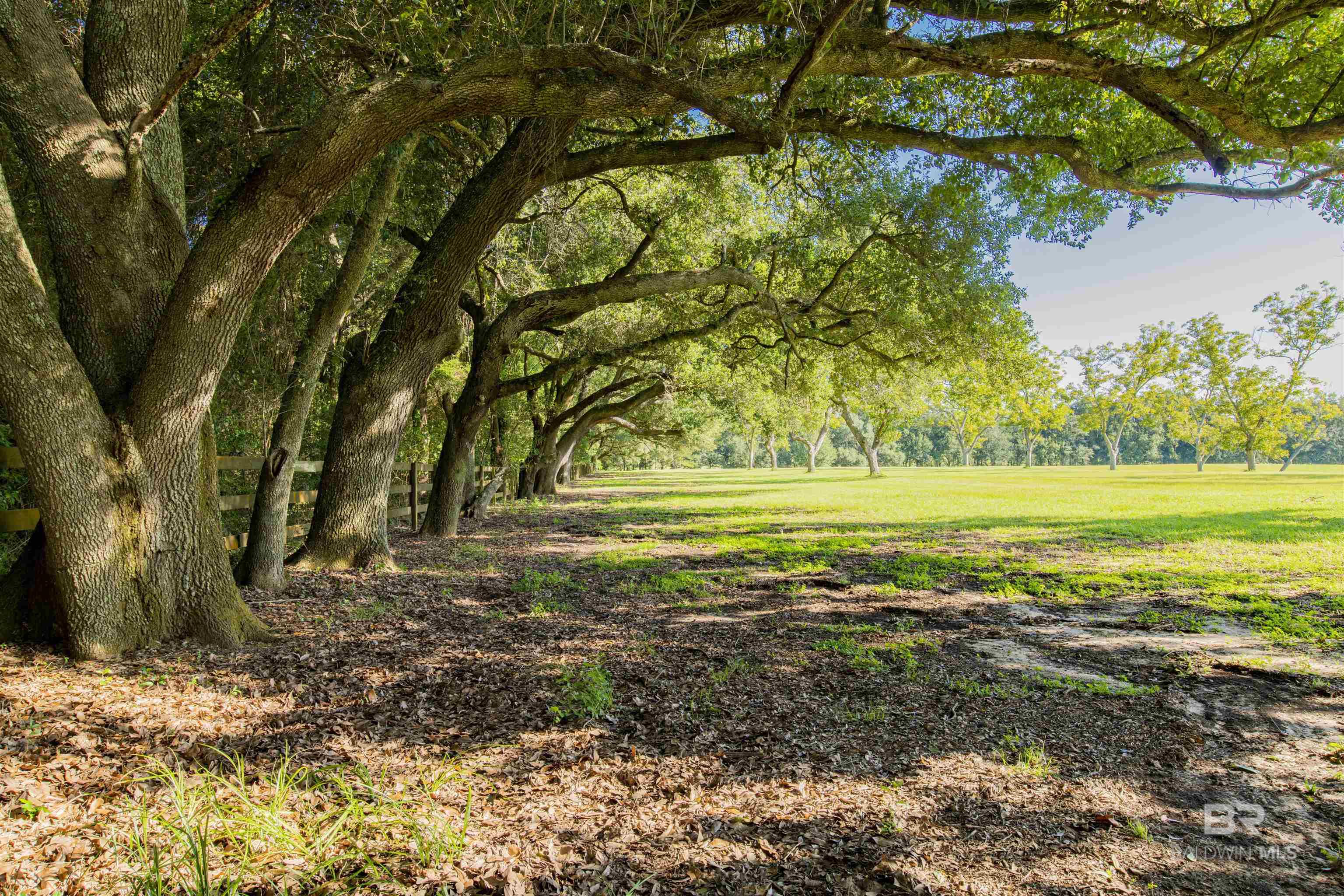 0 County Road 13, Fairhope, AL, 36532