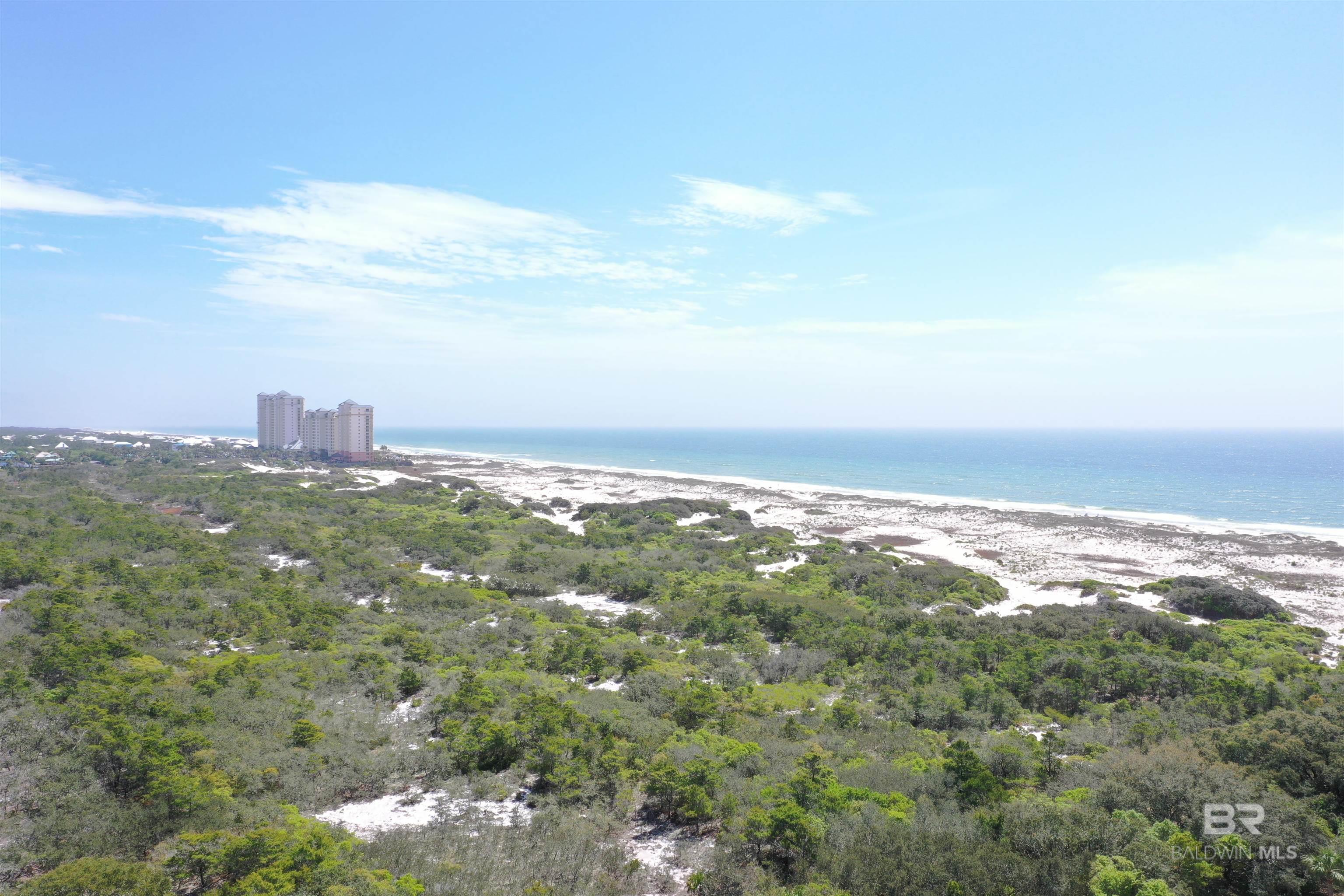 394483 | Photo 36