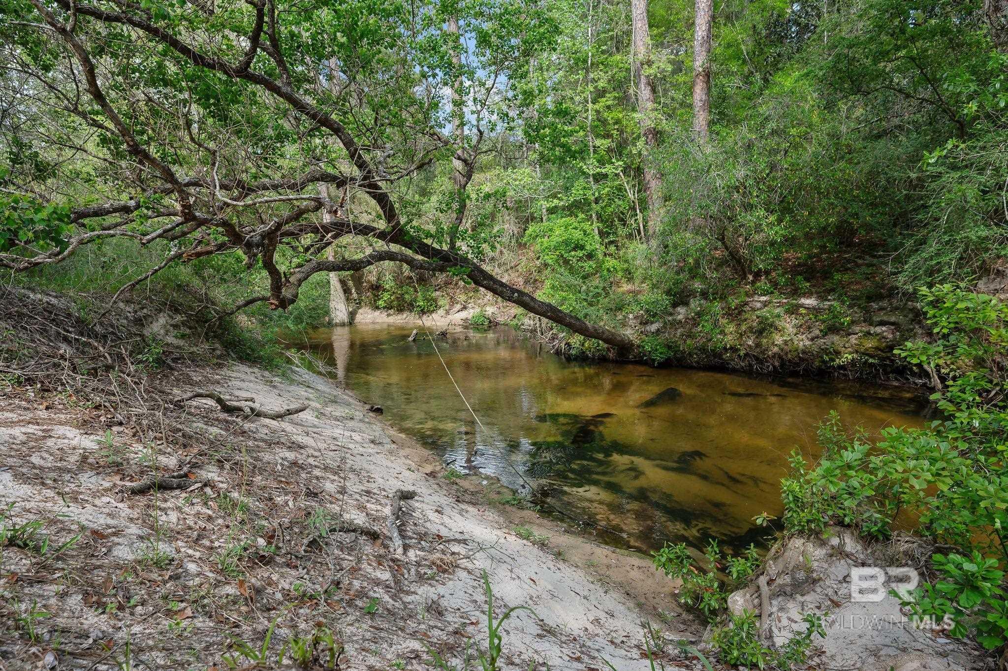 22800 River Road, Daphne, AL, 36526