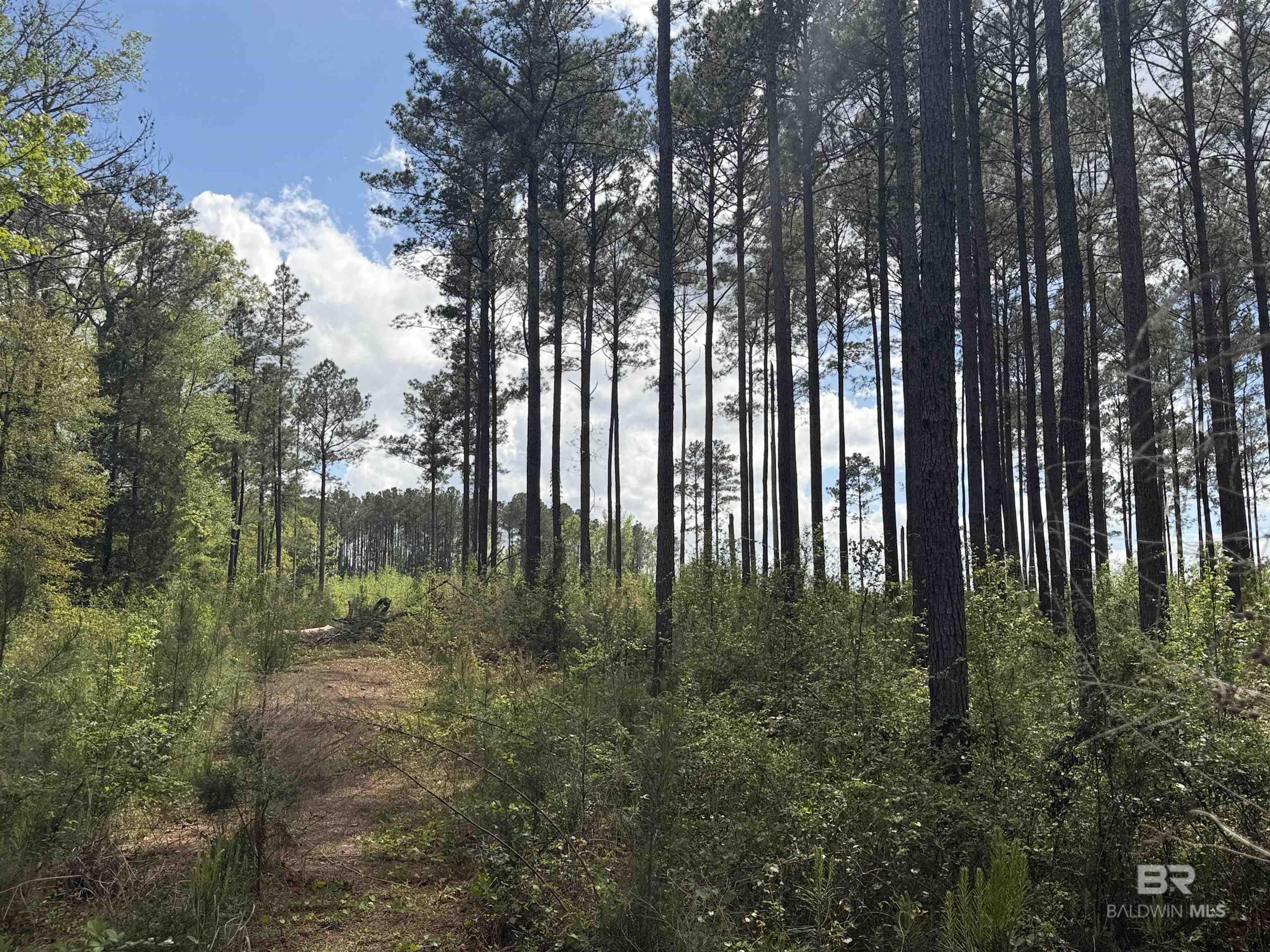 Lot 3 Caney Creek Drive, Daphne, AL, 36536