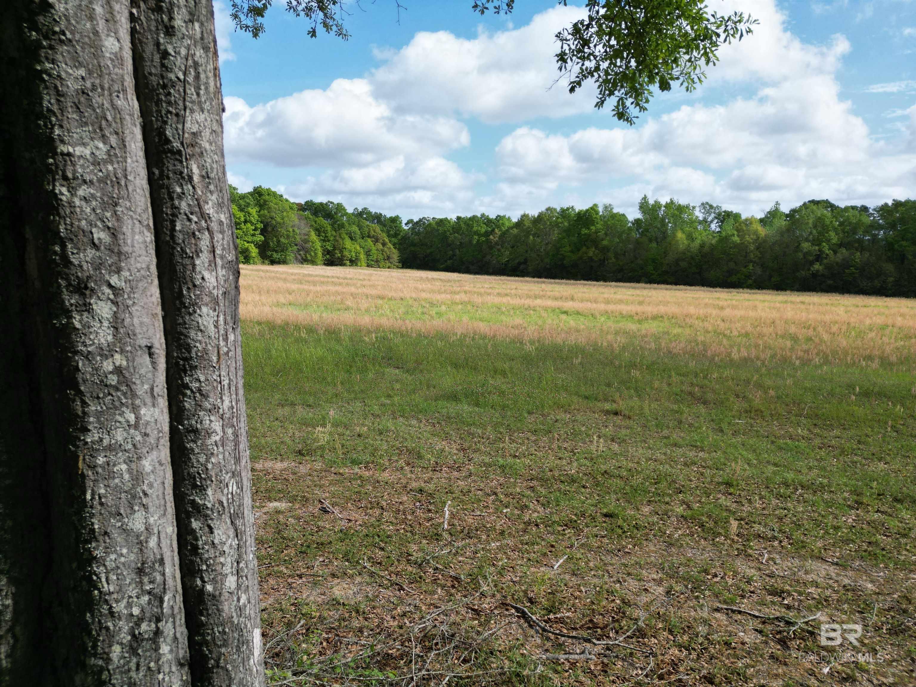 1350 W Highway 4, Century, FL, 32535