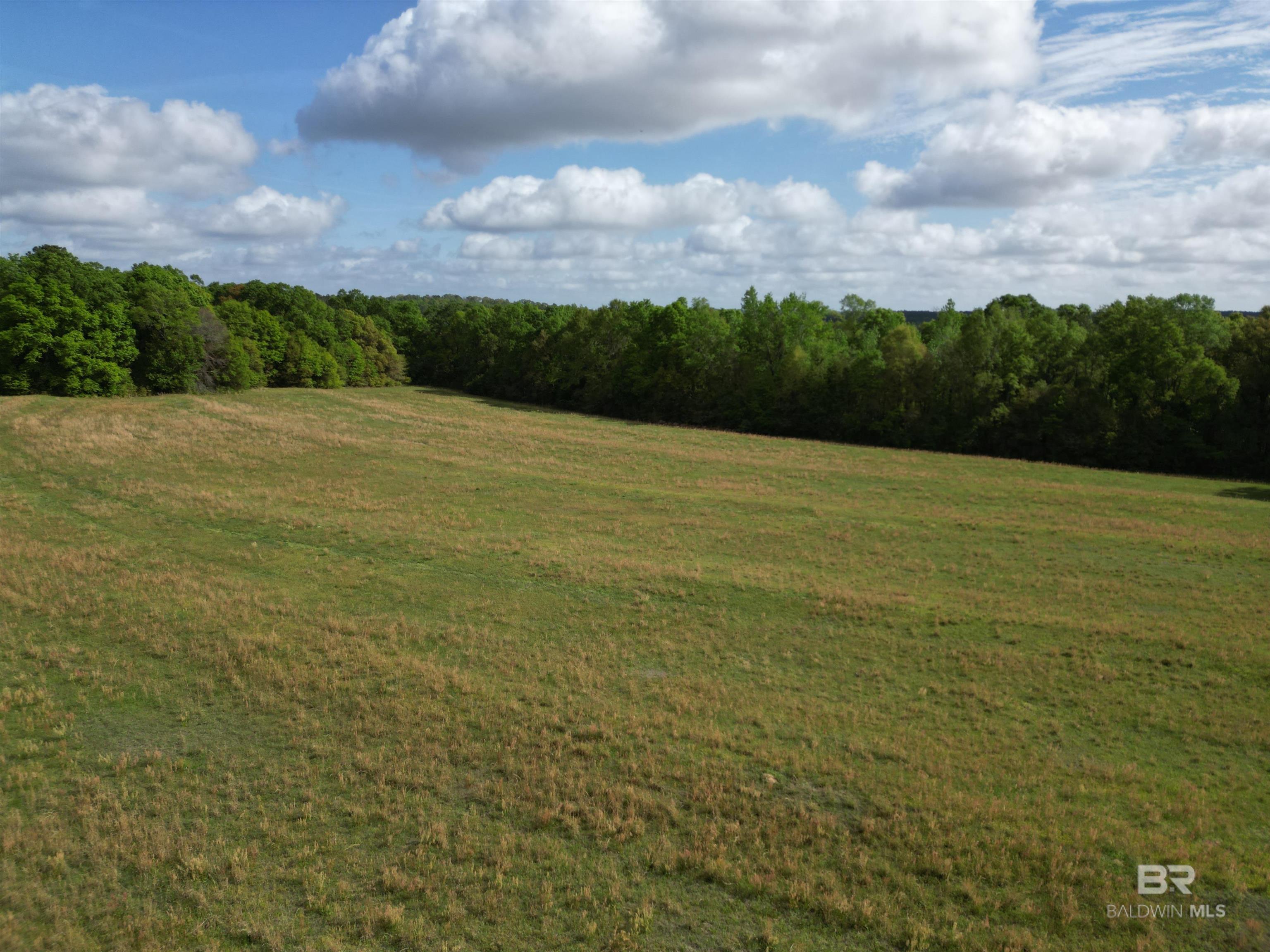 1350 W Highway 4, Century, FL, 32535