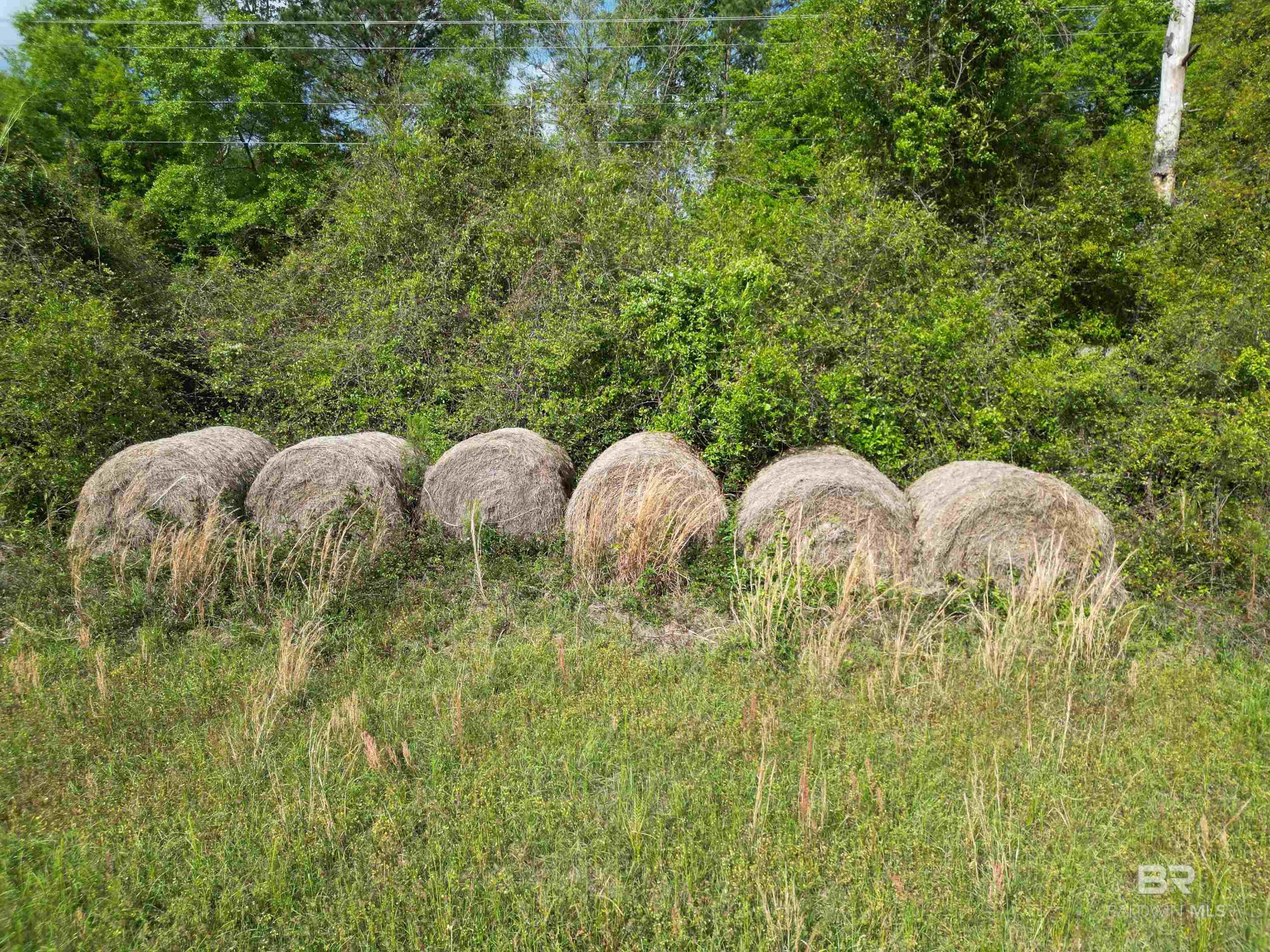 1350 W Highway 4, Century, FL, 32535