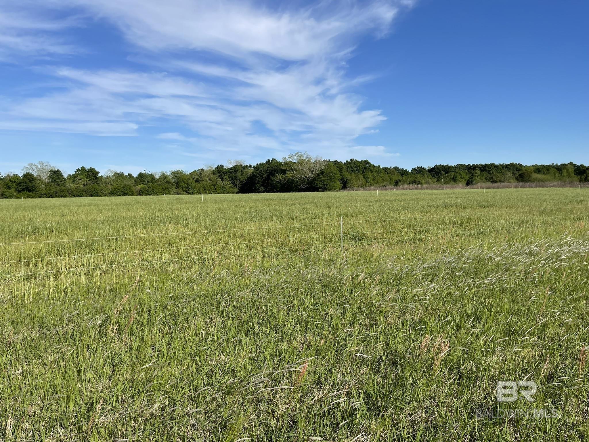 14030 Joe Norris Lane, Foley, AL, 36535