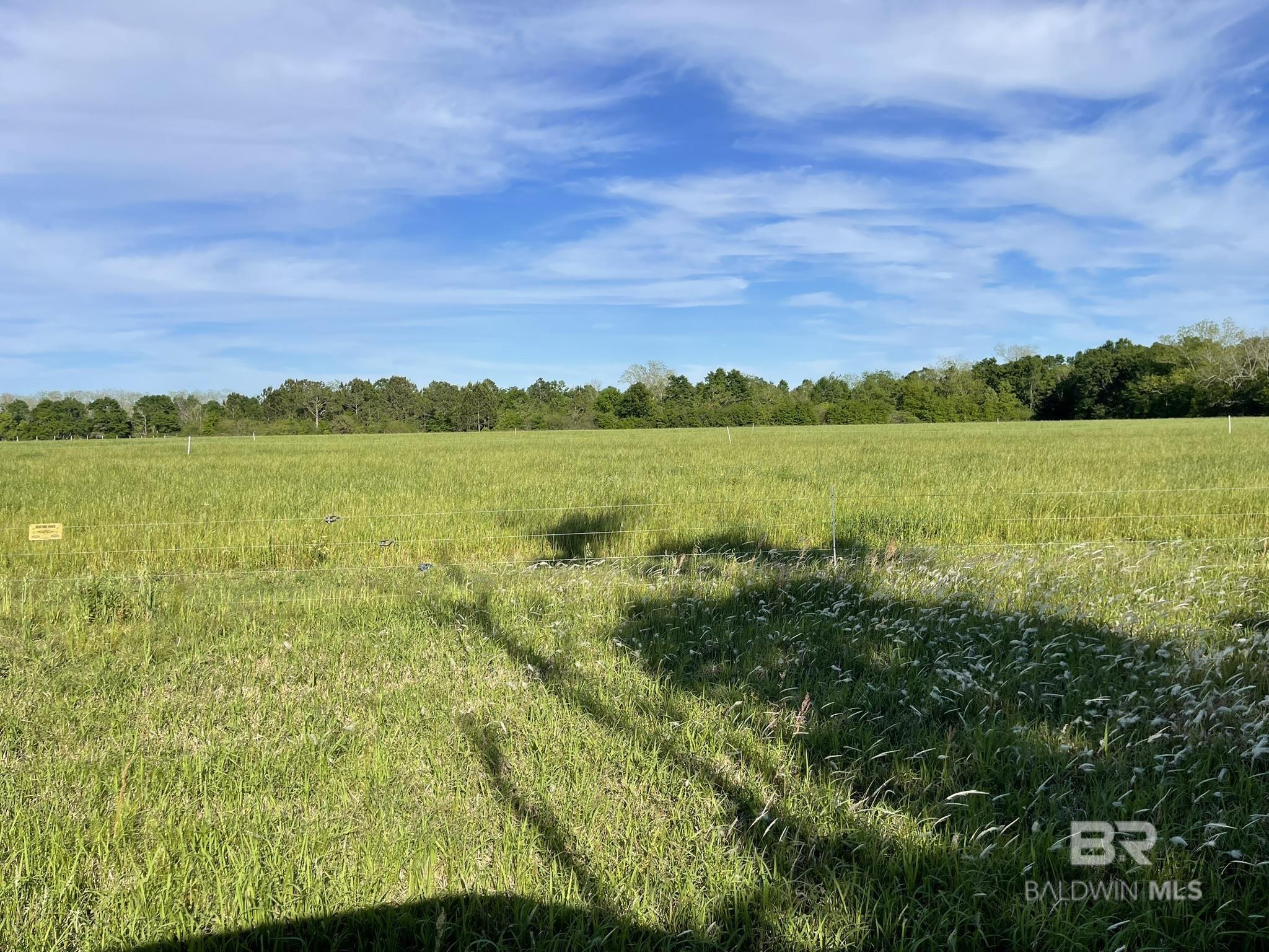 14030 Joe Norris Lane, Foley, AL, 36535
