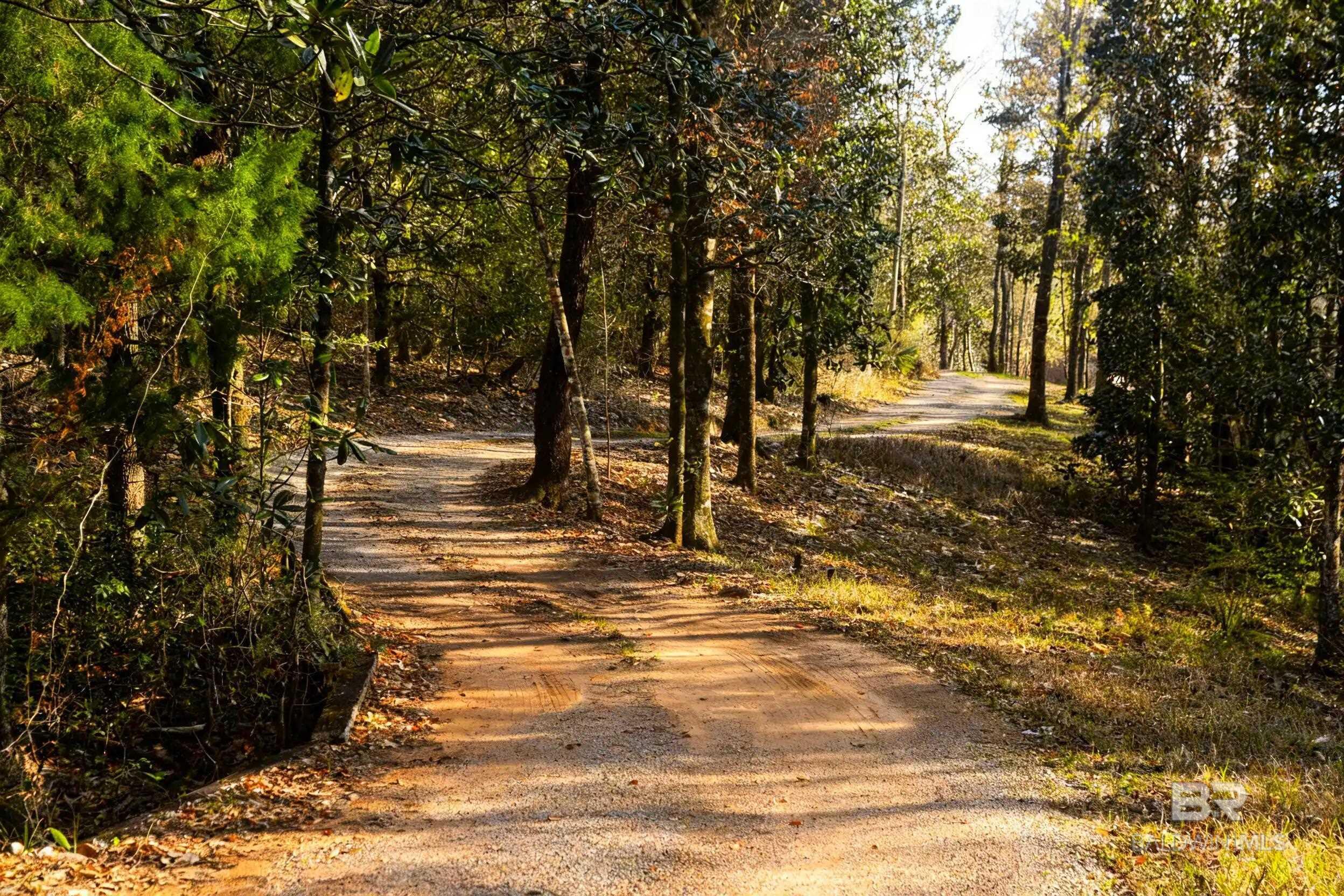 https://zimg.paragon.ice.com/ParagonImages/Property/PG/BCAR/394759/28/0/0/c0f724193b614230bdaca8152ff44b73/7/ef46769d3f4c5cd4b275bee6f0535e65/394759-584b72e7-064c-4f9a-b461-8978022cfd68.JPG