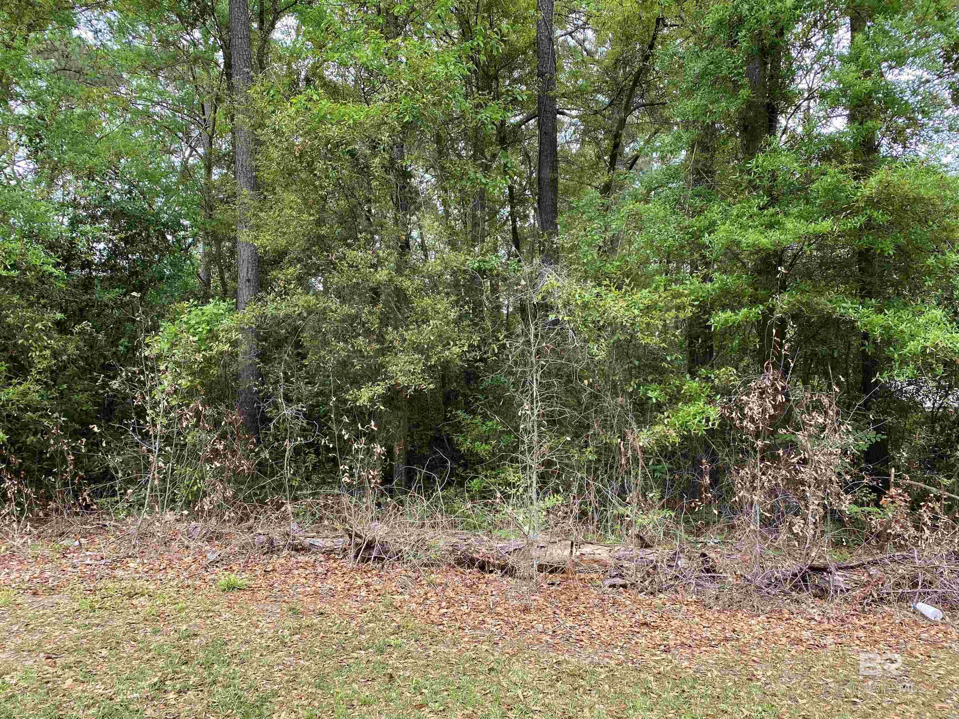 0 Frazier Street, East Brewton, AL, 36426