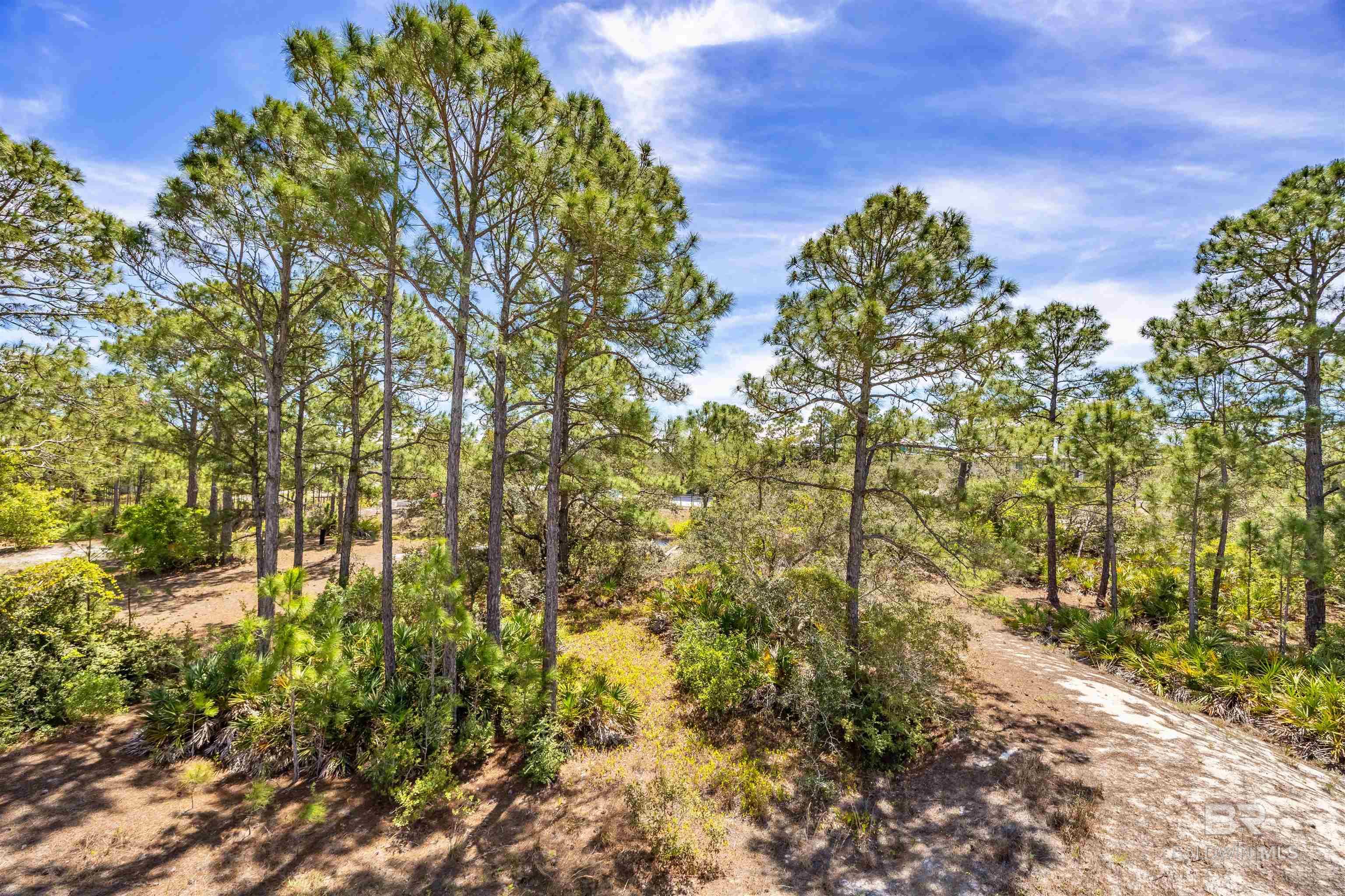 6782 Palmetto Drive, Gulf Shores, AL, 36542