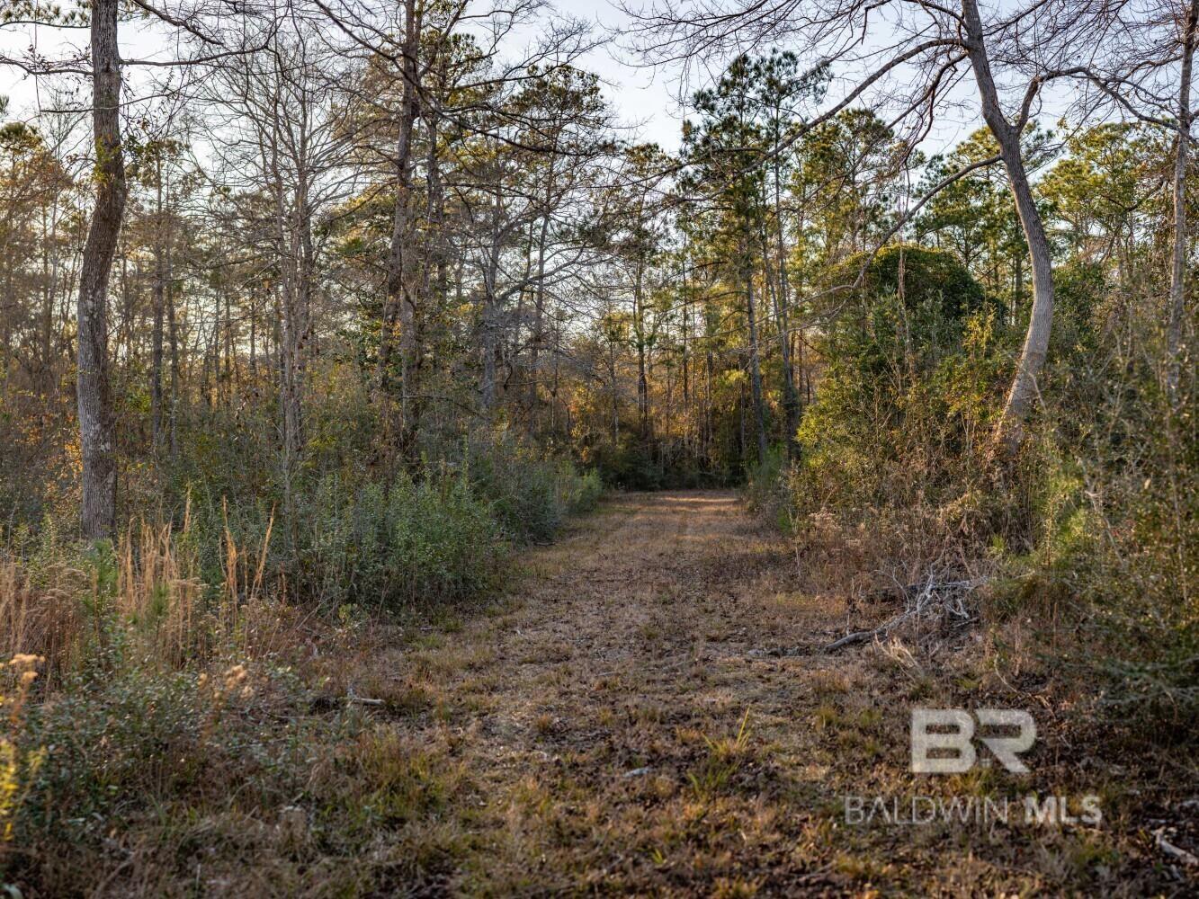 0 Kennedy Road, Bon Secour, AL, 36511