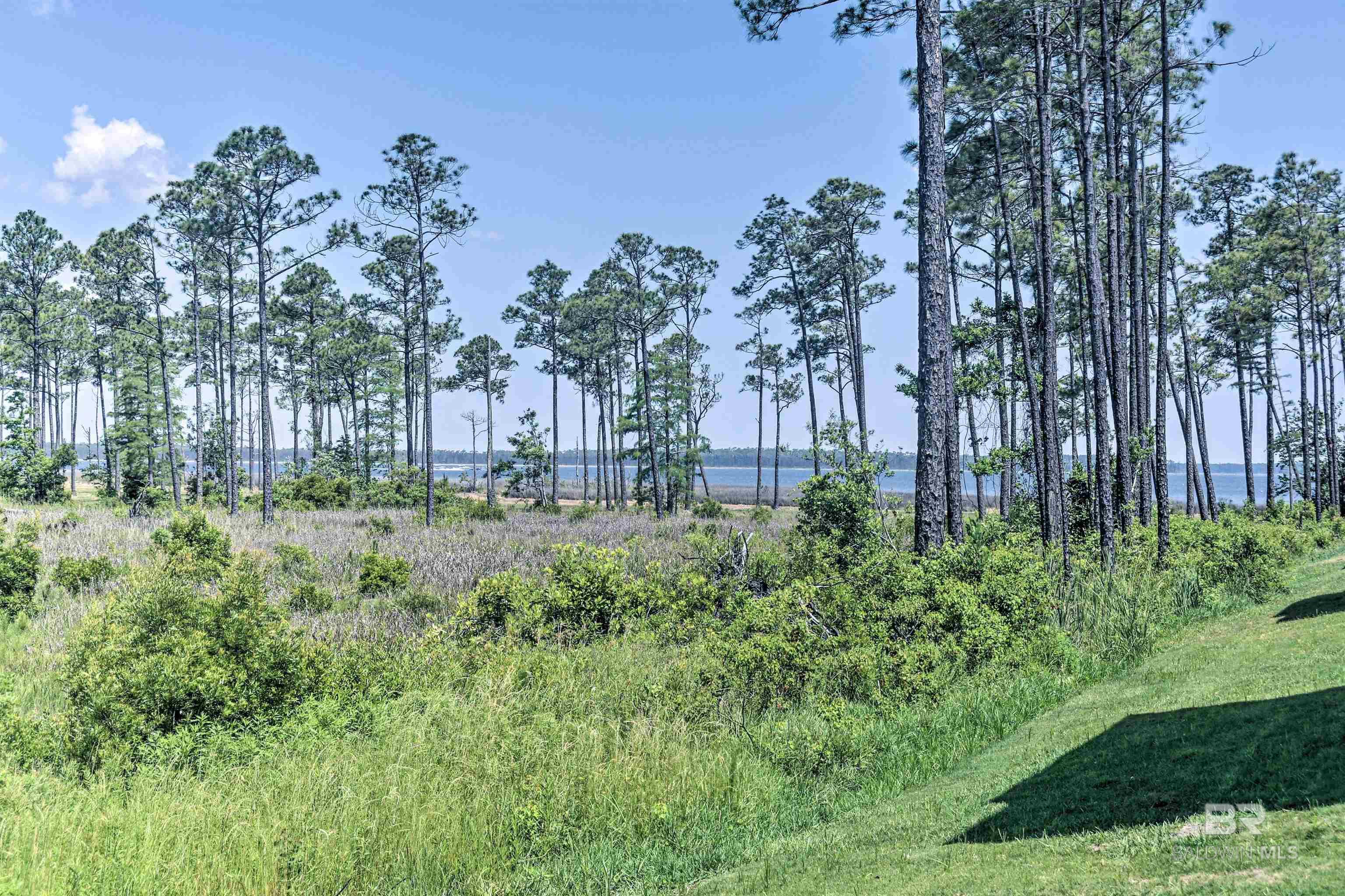 4660 Casablanca Drive, Orange Beach, AL, 36561