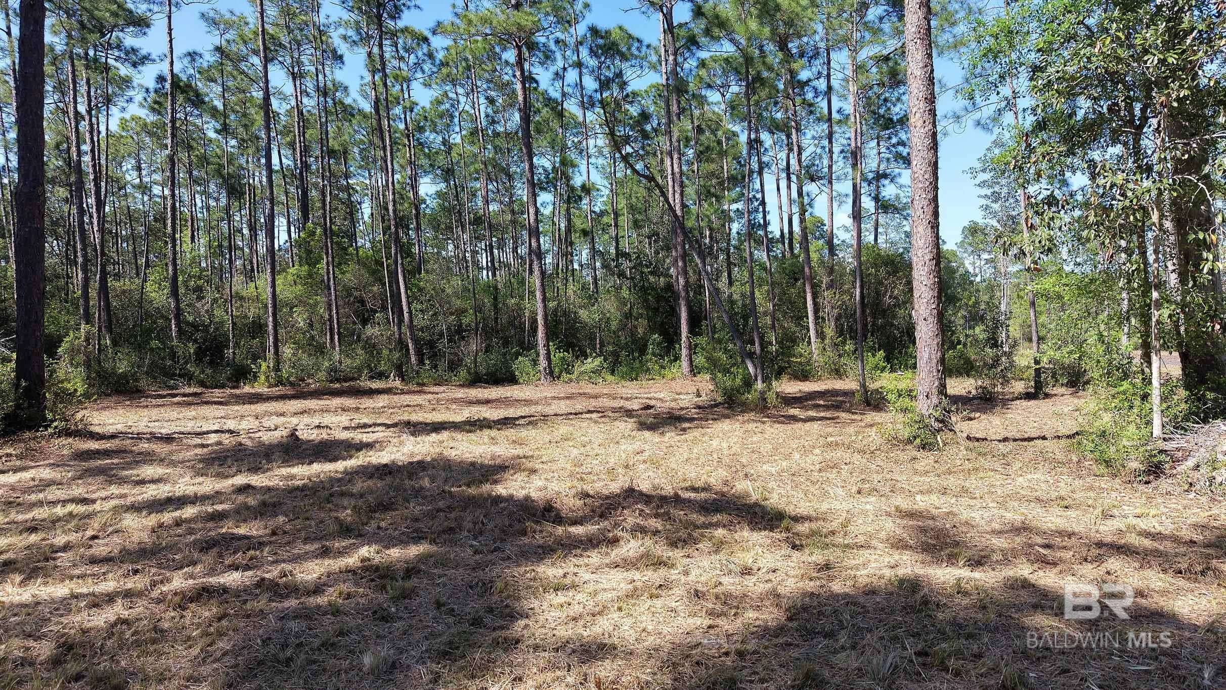 35745 Boykin Boulevard, Lillian, AL, 36549