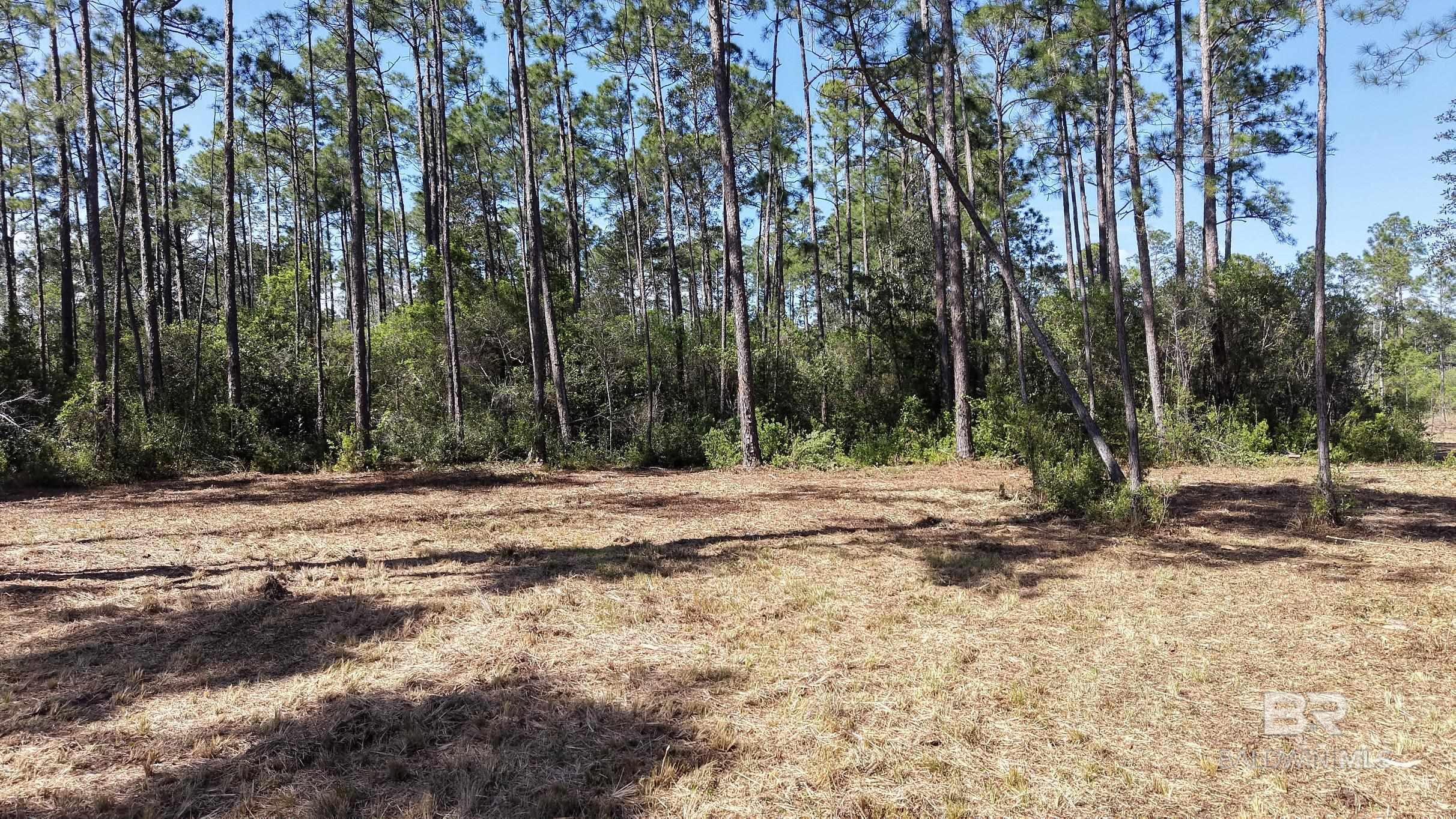 35745 Boykin Boulevard, Lillian, AL, 36549