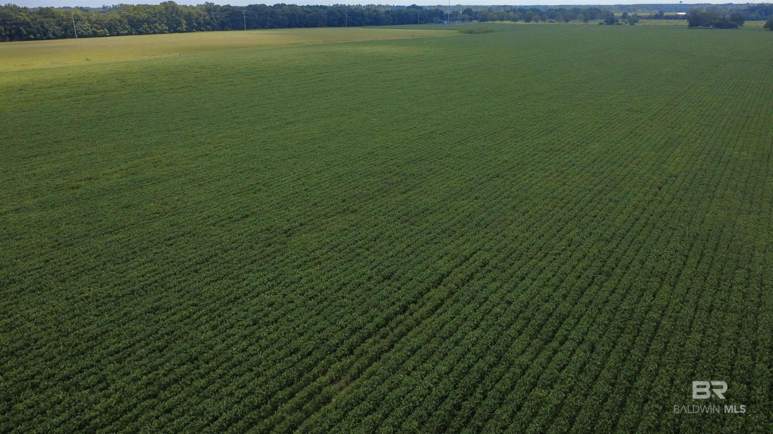 19750 County Road 73, Summerdale, AL, 36580