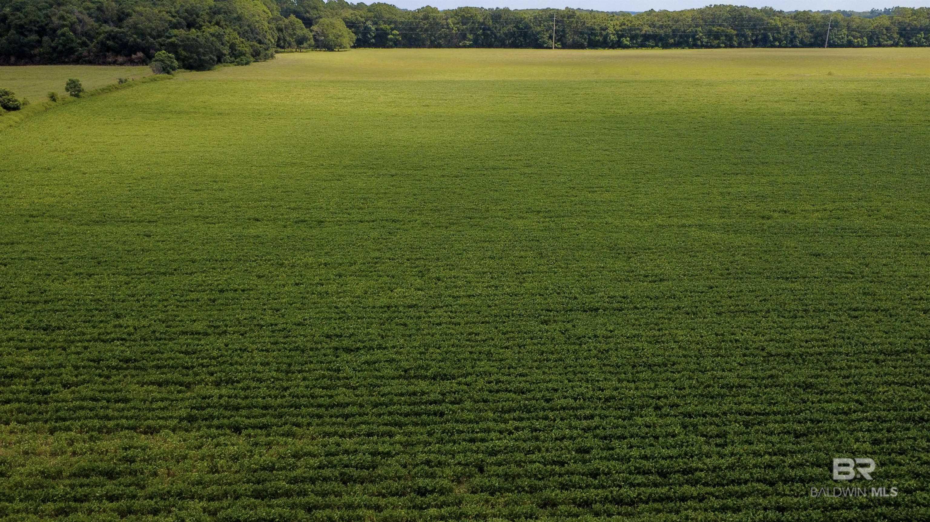 19750 County Road 73, Summerdale, AL, 36580