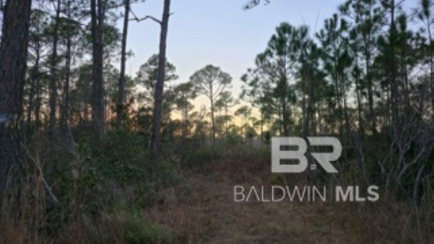 24875 Miflin Road, Elberta, AL, 36530