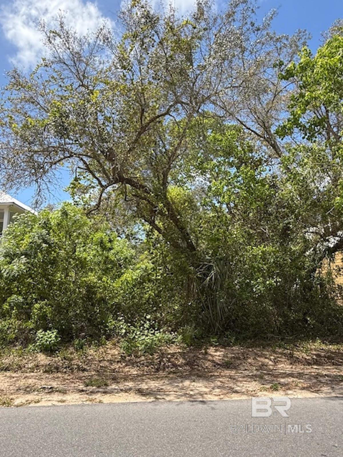 764 Gulf Avenue, Orange Beach, AL, 36561