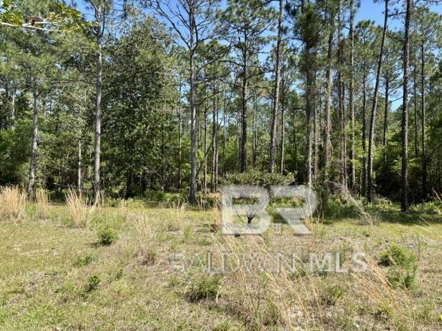 Millwood Drive, Gulf Shores, AL, 36542