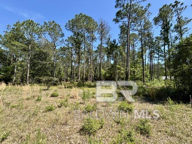 Millwood Drive, Gulf Shores, AL, 36542
