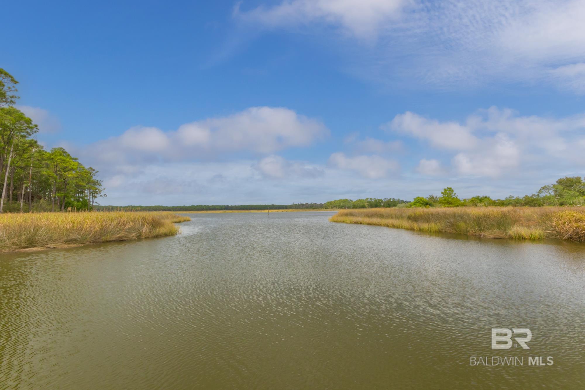 Millwood Drive, Gulf Shores, AL, 36542