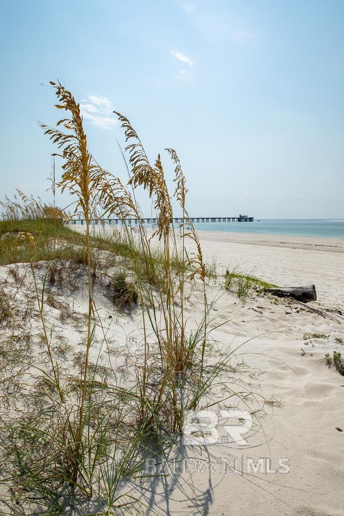 588 E Beach Boulevard UNIT D, Gulf Shores, AL, 36561