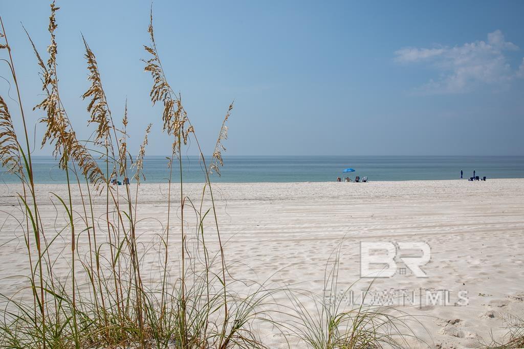 588 E Beach Boulevard UNIT D, Gulf Shores, AL, 36561