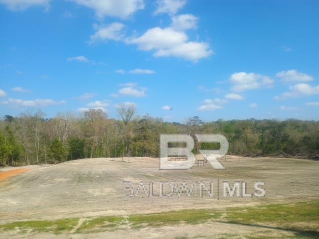 0 County Road 14, Range, AL, 36473