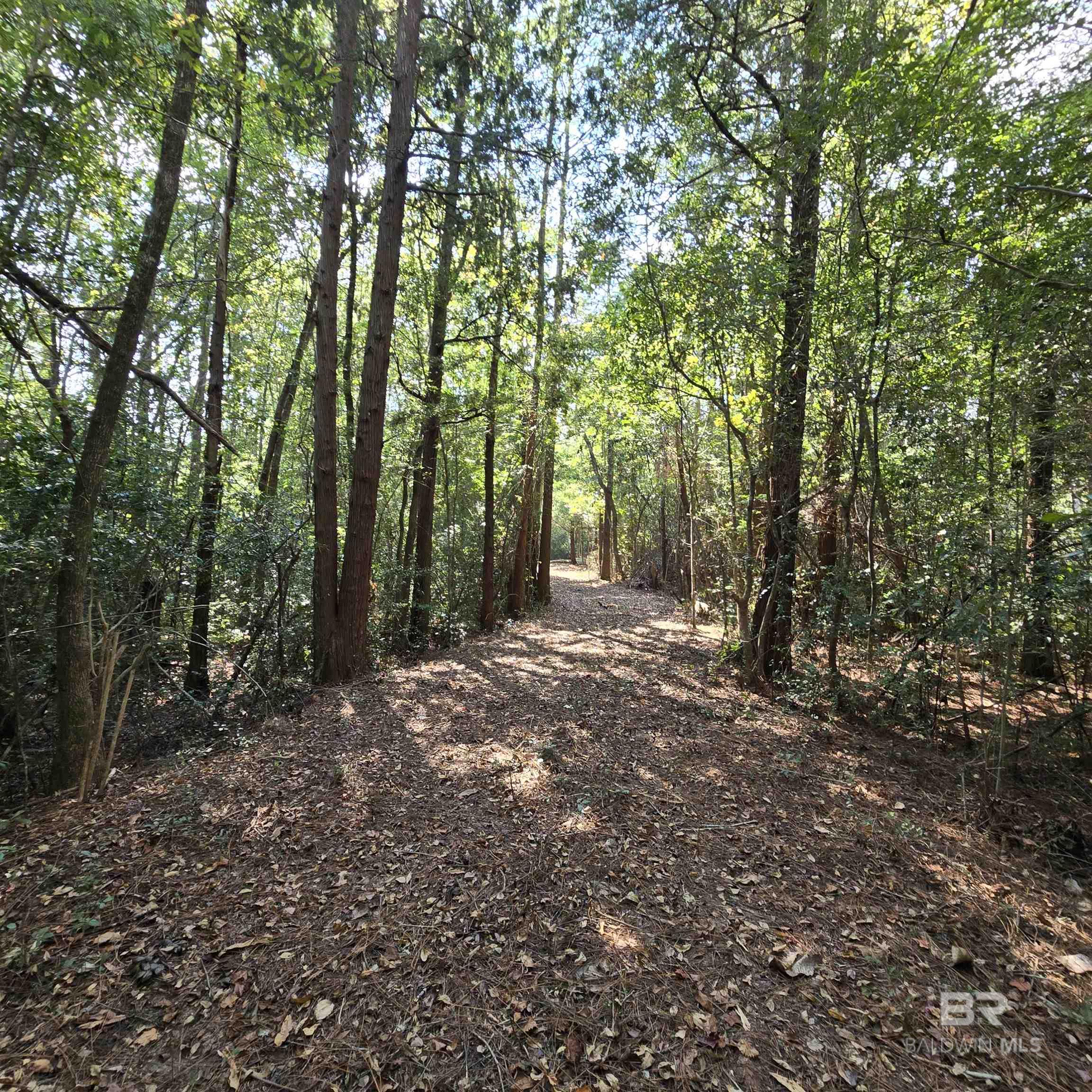 17949 Kingway Road, Seminole, AL, 36574