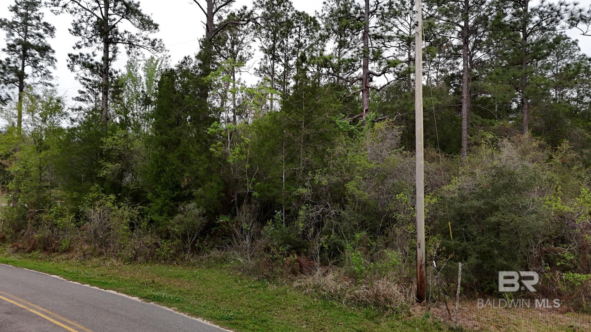 17949 Kingway Road, Seminole, AL, 36574