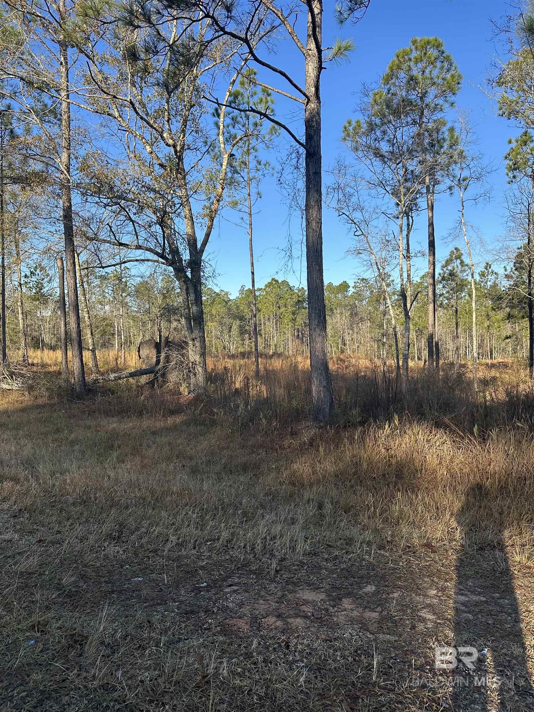 50945 US Highway 31, Bay Minette, AL, 36507