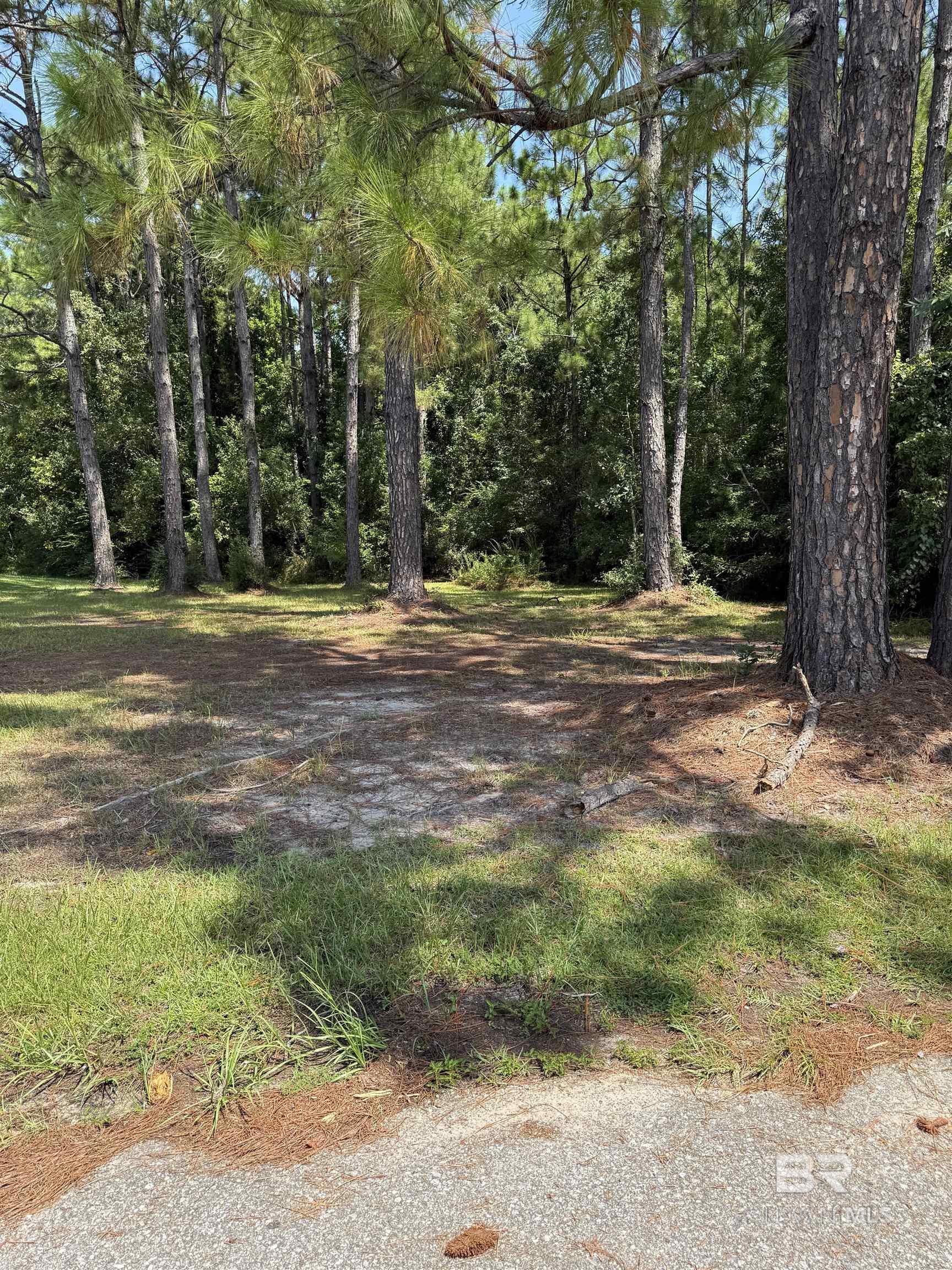 Lot 18 Wallace Circle, Gulf Shores, AL, 36542