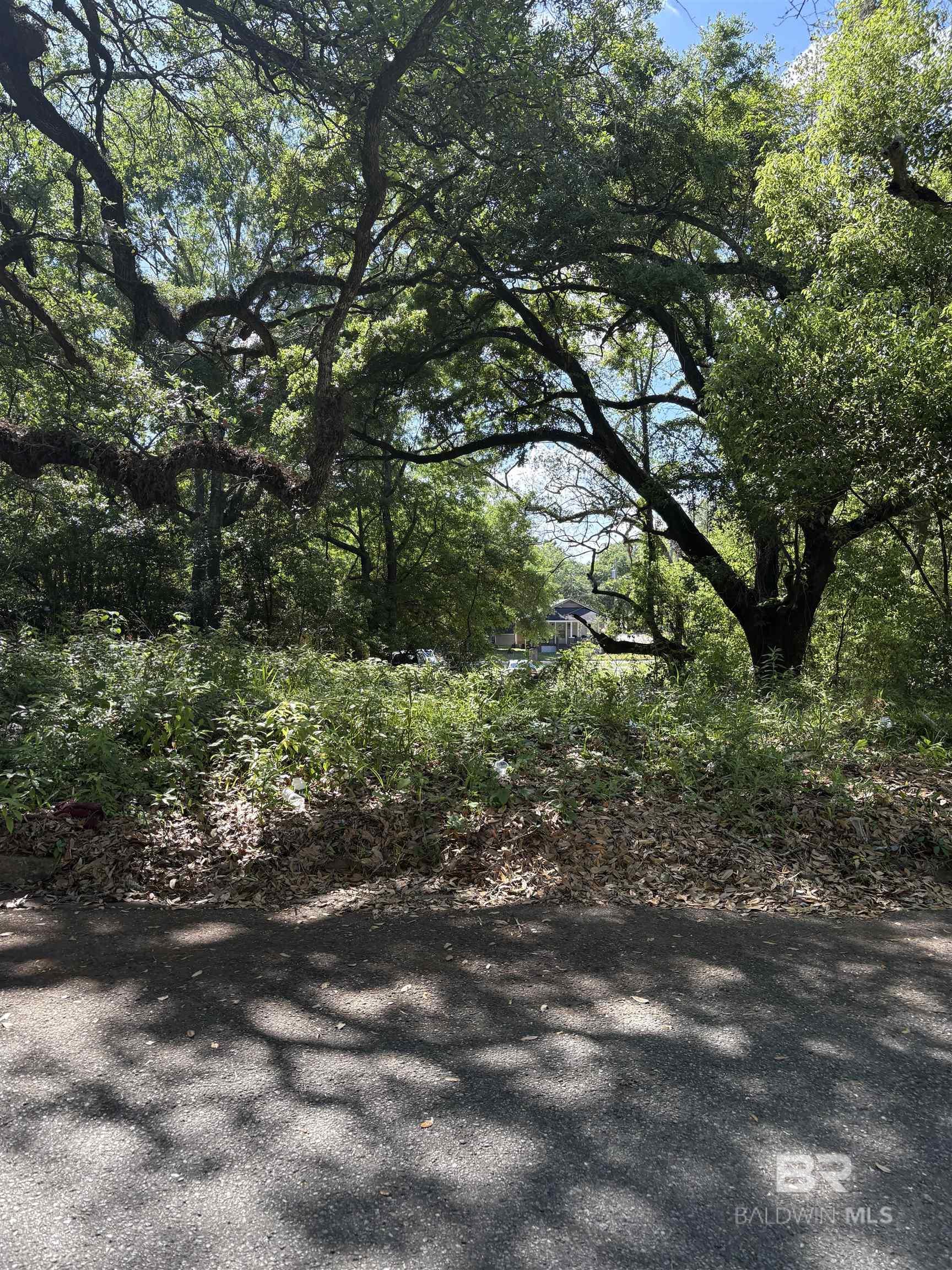 395398 | Photo 2