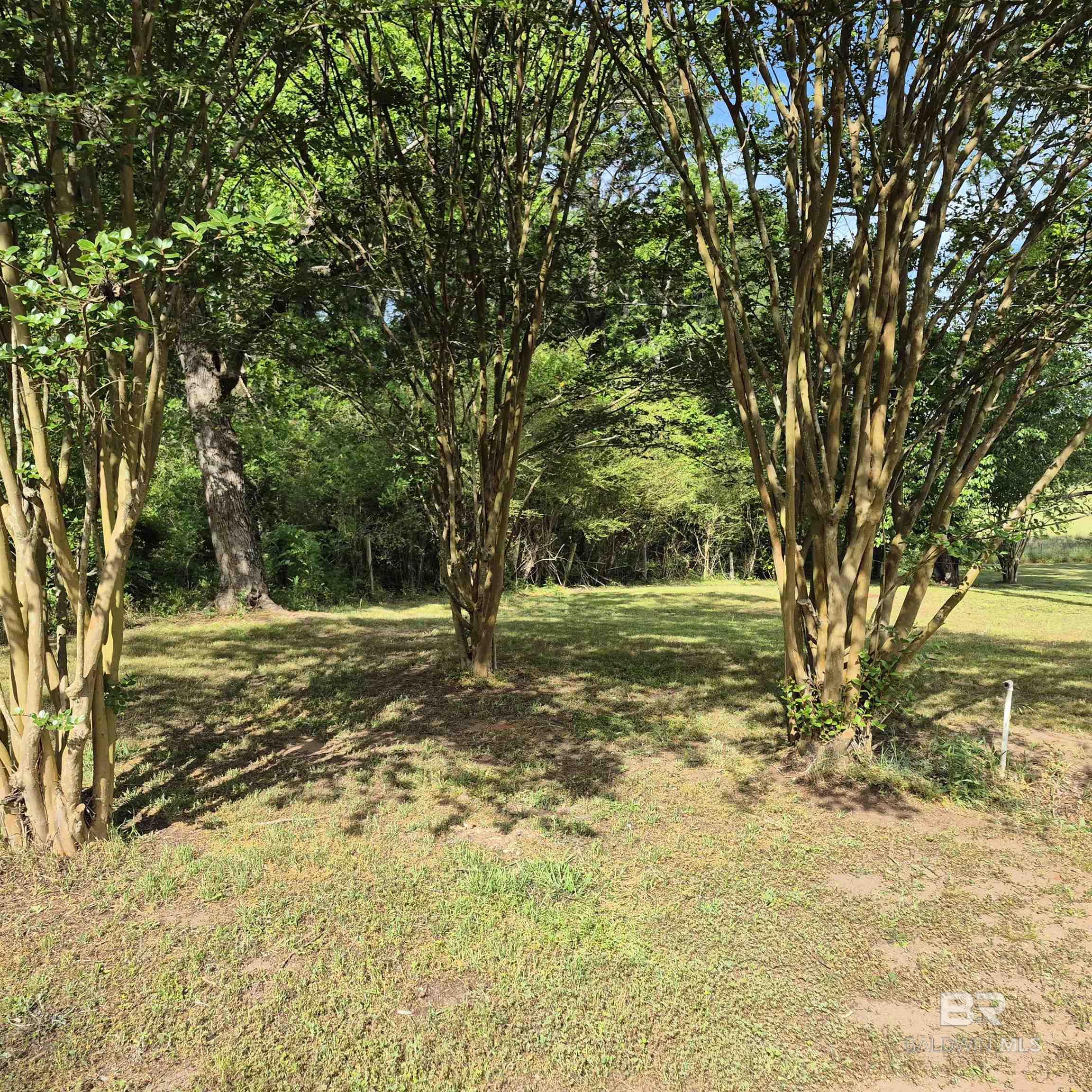 9901 US Highway 31, Evergreen, AL, 36401