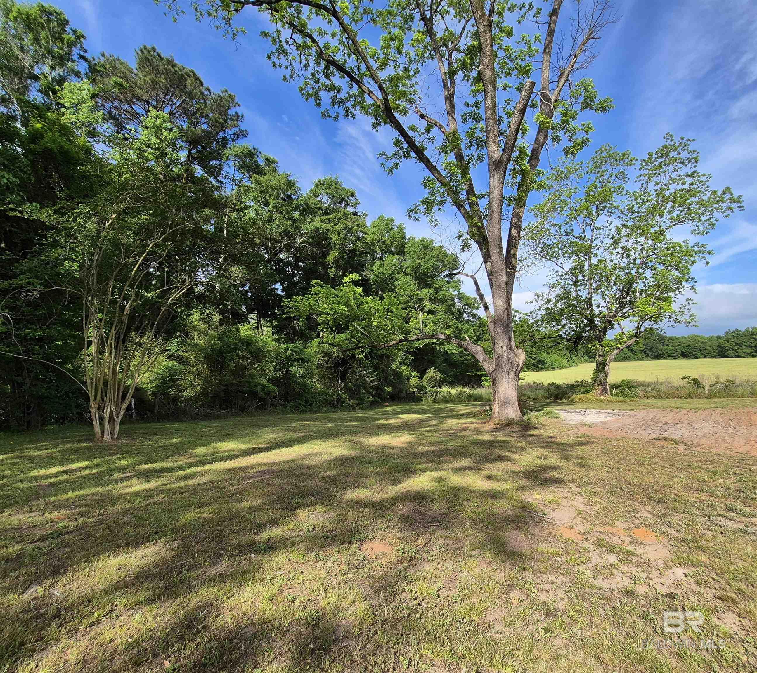 9901 US Highway 31, Evergreen, AL, 36401