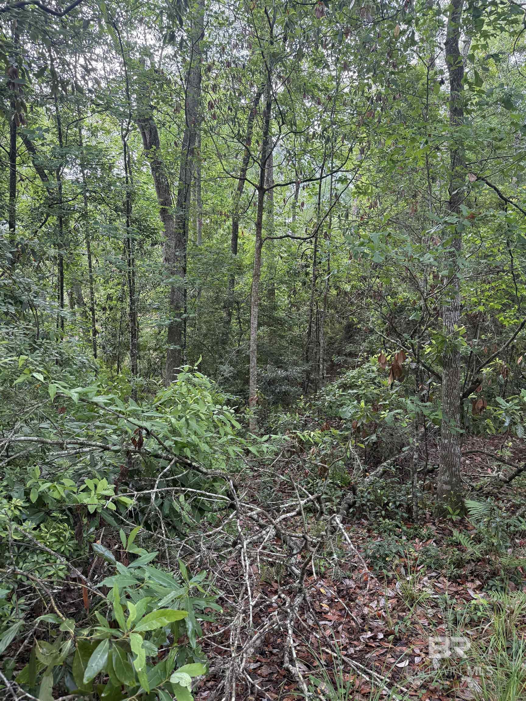 395891 | Photo 2