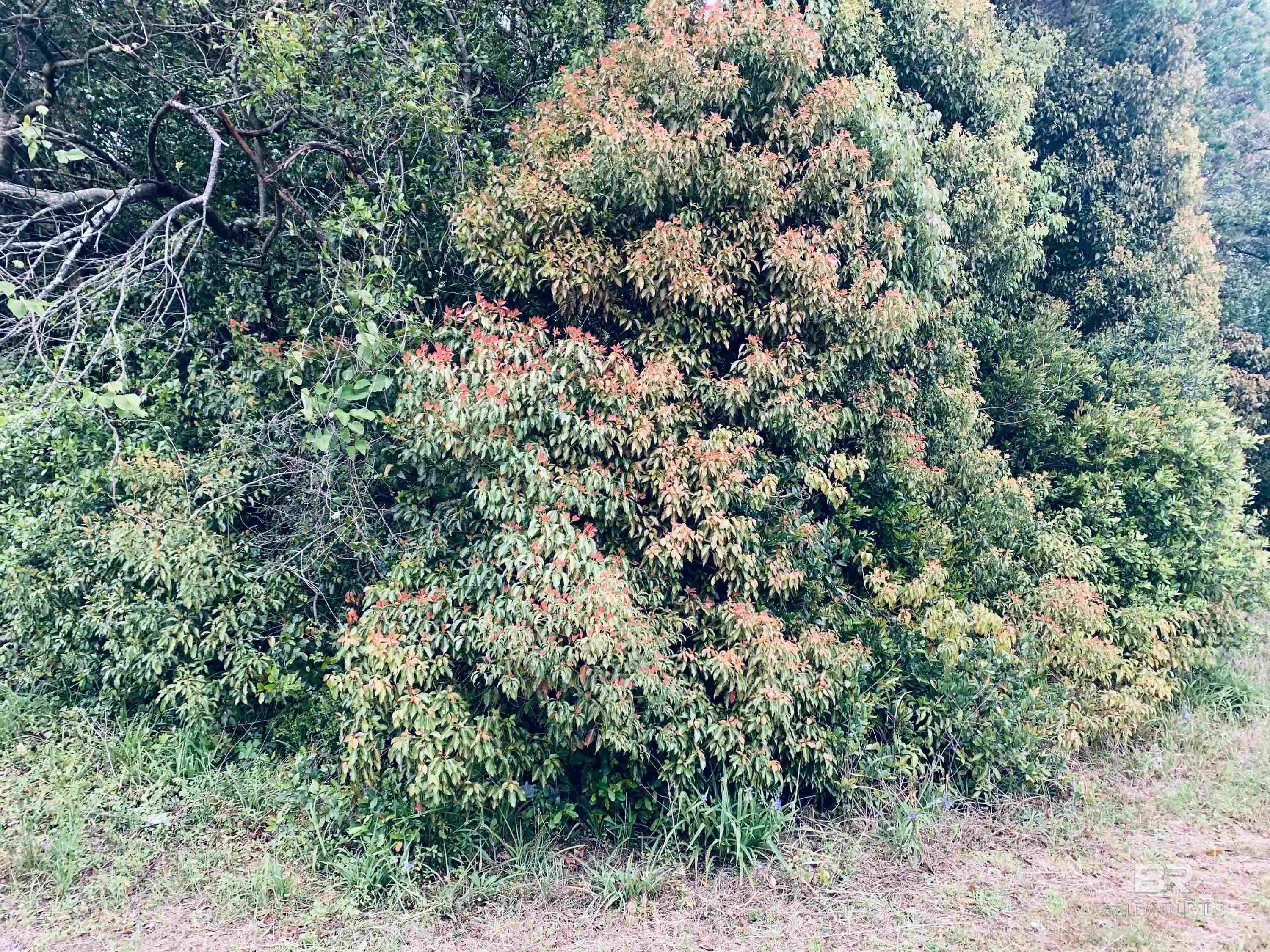 395898 | Photo 7