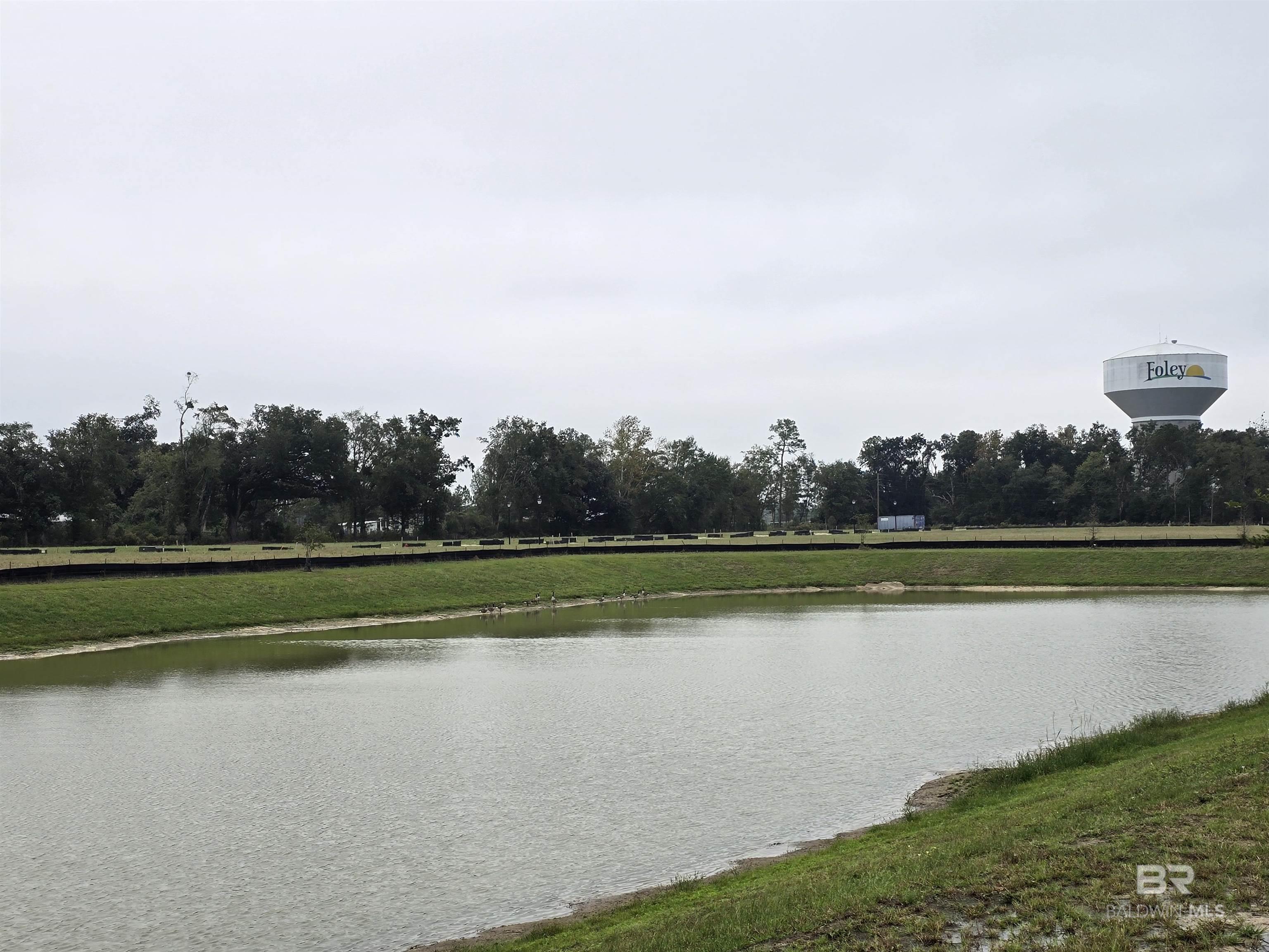 395973 | Photo 36