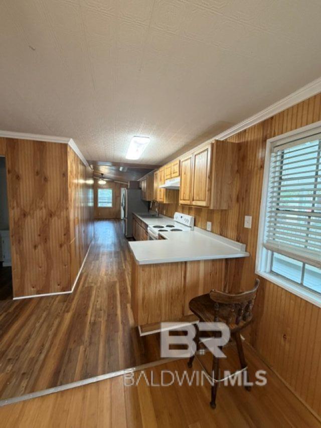https://zimg.paragon.ice.com/ParagonImages/Property/PG/BCAR/396119/7/0/0/f6894b3e71d4ab703024f124bbf256be/7/ff8305534fa61a988d3912b0035860a5/396119-4f40f0c7-aa55-41ff-9979-3732e60a4aec.JPG