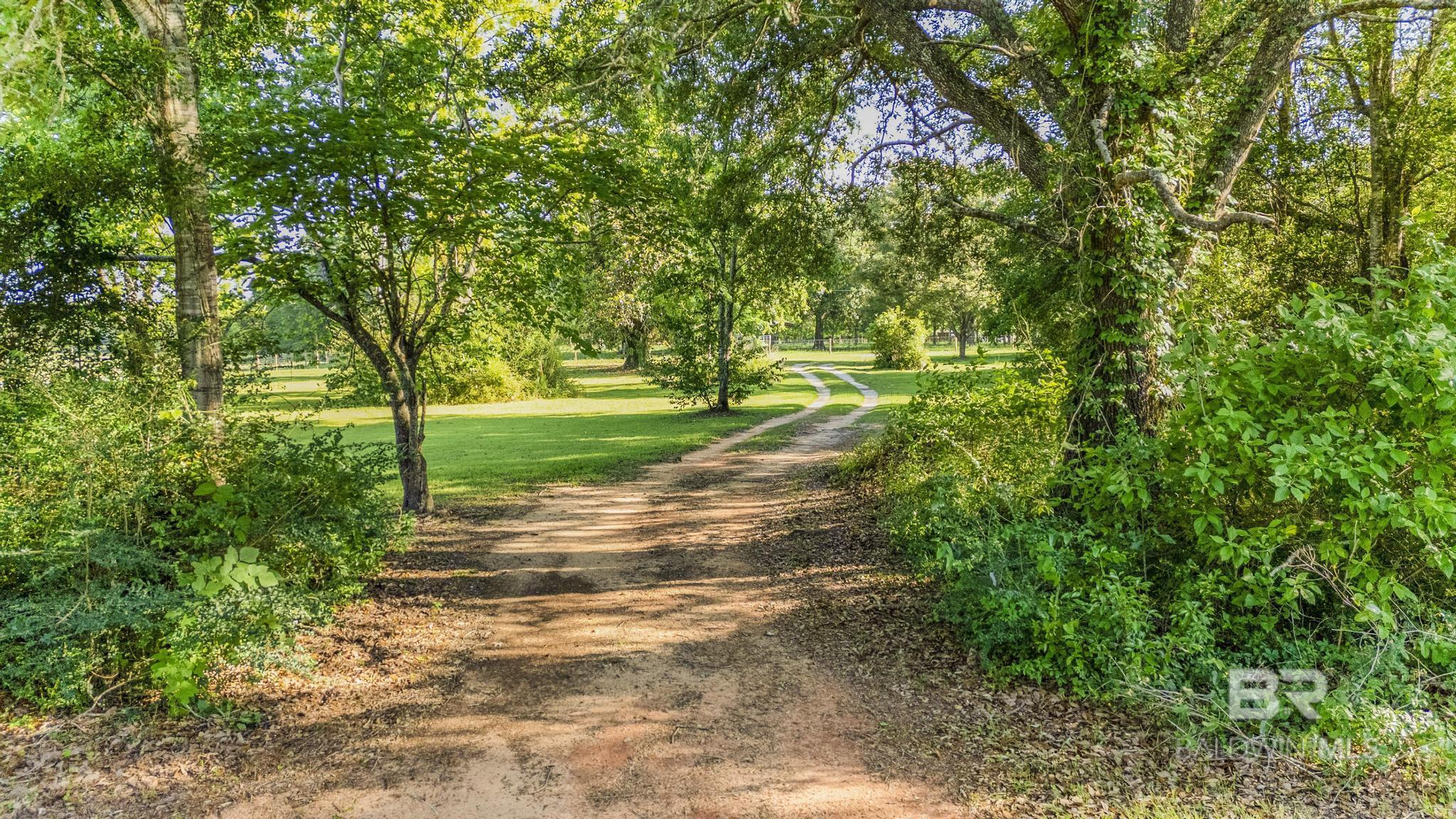 https://zimg.paragon.ice.com/ParagonImages/Property/PG/BCAR/396150/36/0/0/411a987825b19ca2b6b8e7ecb5941cda/7/1769f69f01614d8426a2d3091b6038c8/396150-138c2c2c-c8c7-4c6c-bccd-97b9491e6872.JPG